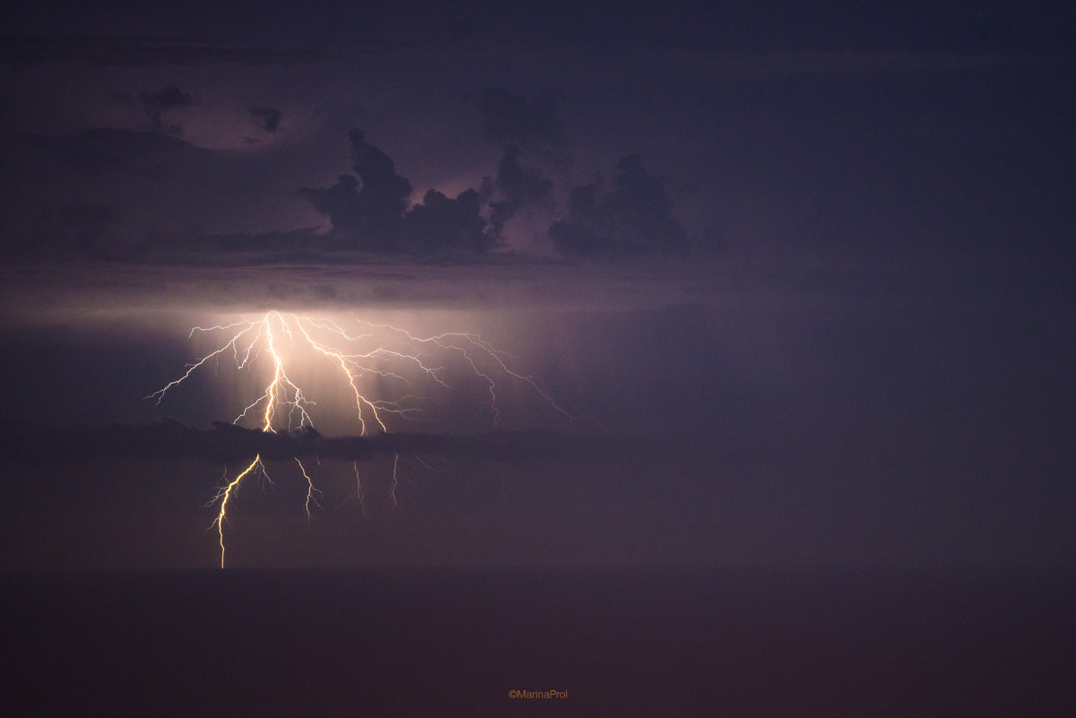 Sigma 150-600mm F5-6.3 DG OS HSM | S sample photo. Storm 2 photography