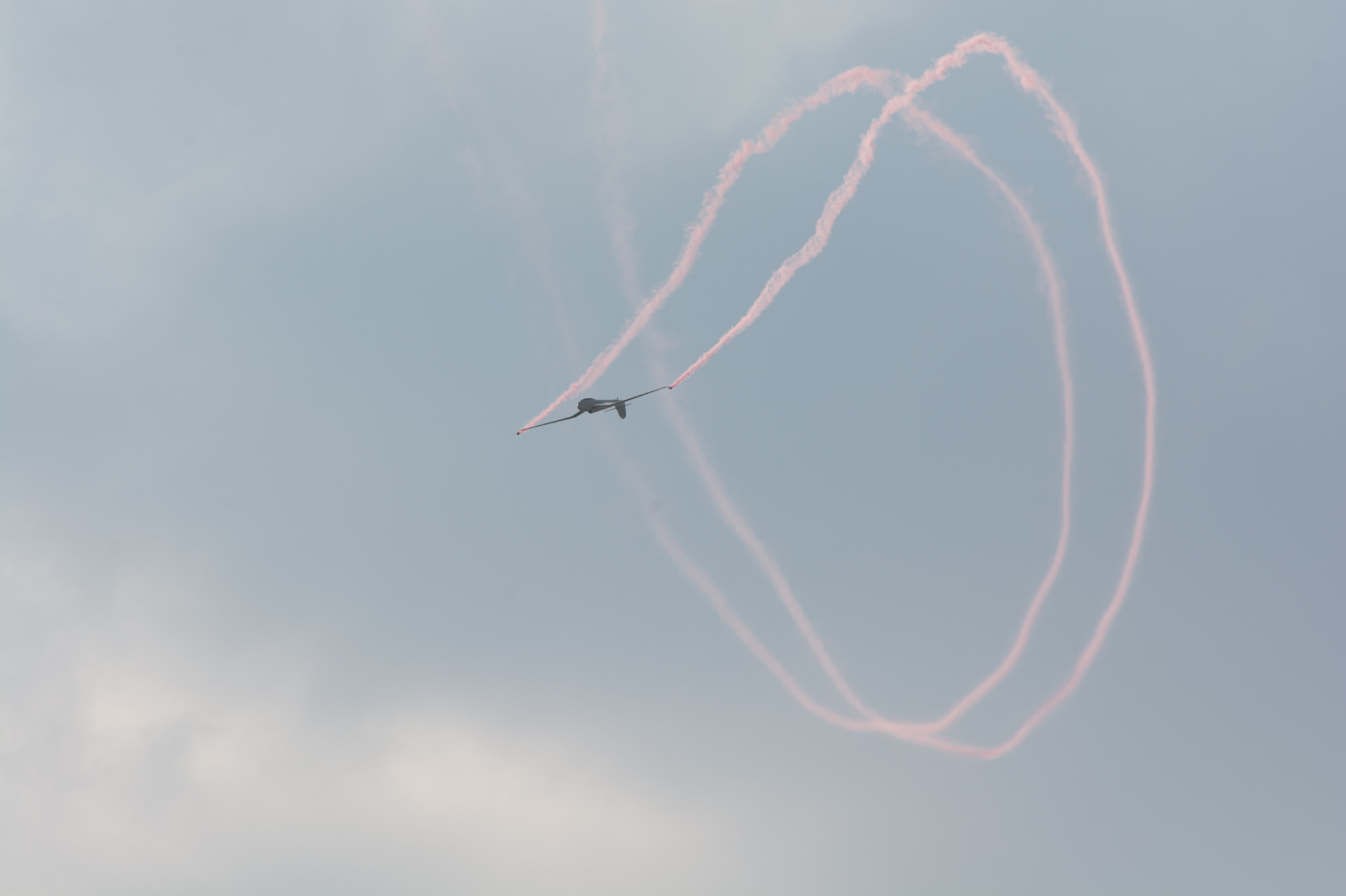 AF Nikkor 300mm f/4 IF-ED sample photo. Dfs habicht in acrobatics photography