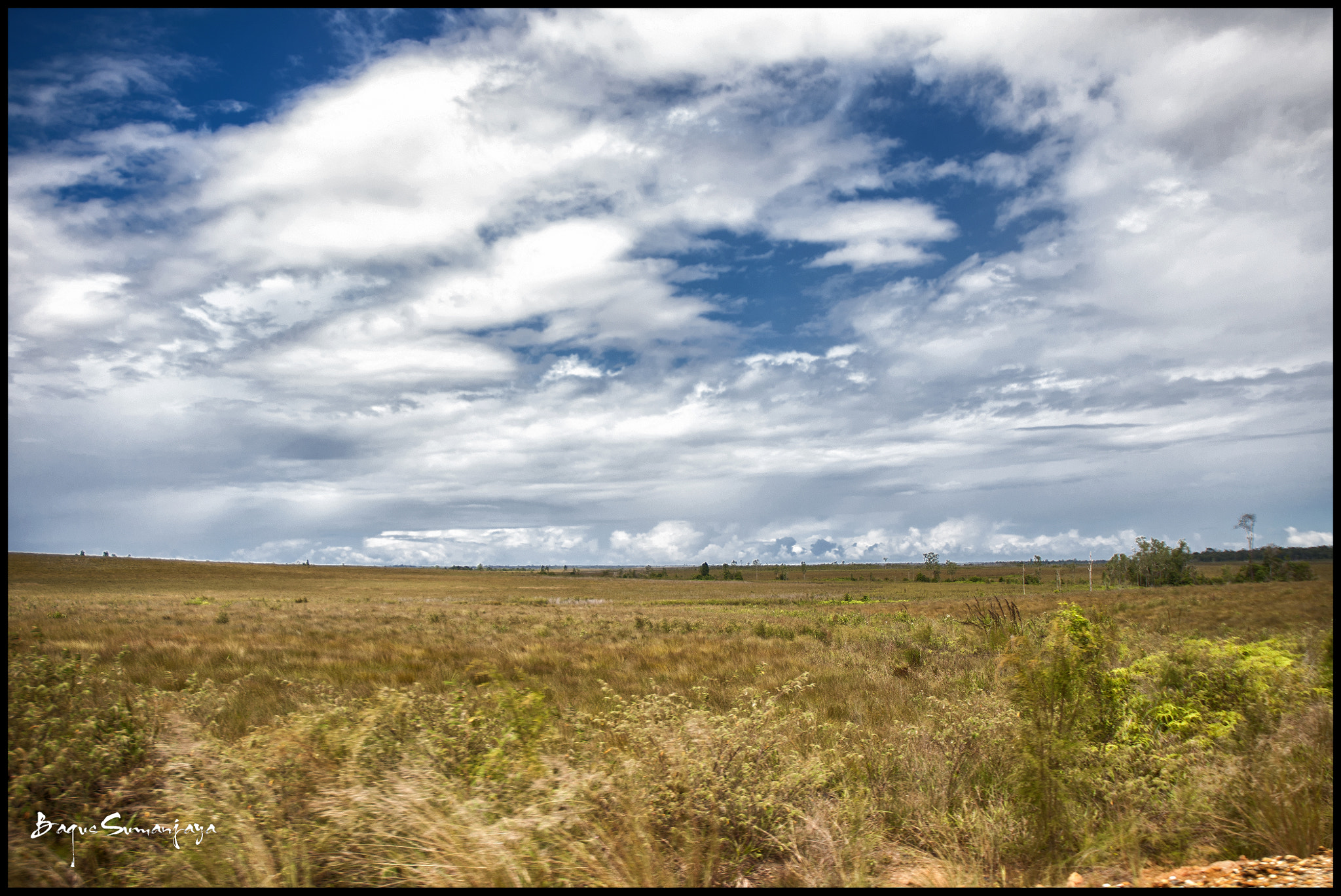 Nikon D300S sample photo. Windows 2018 photography