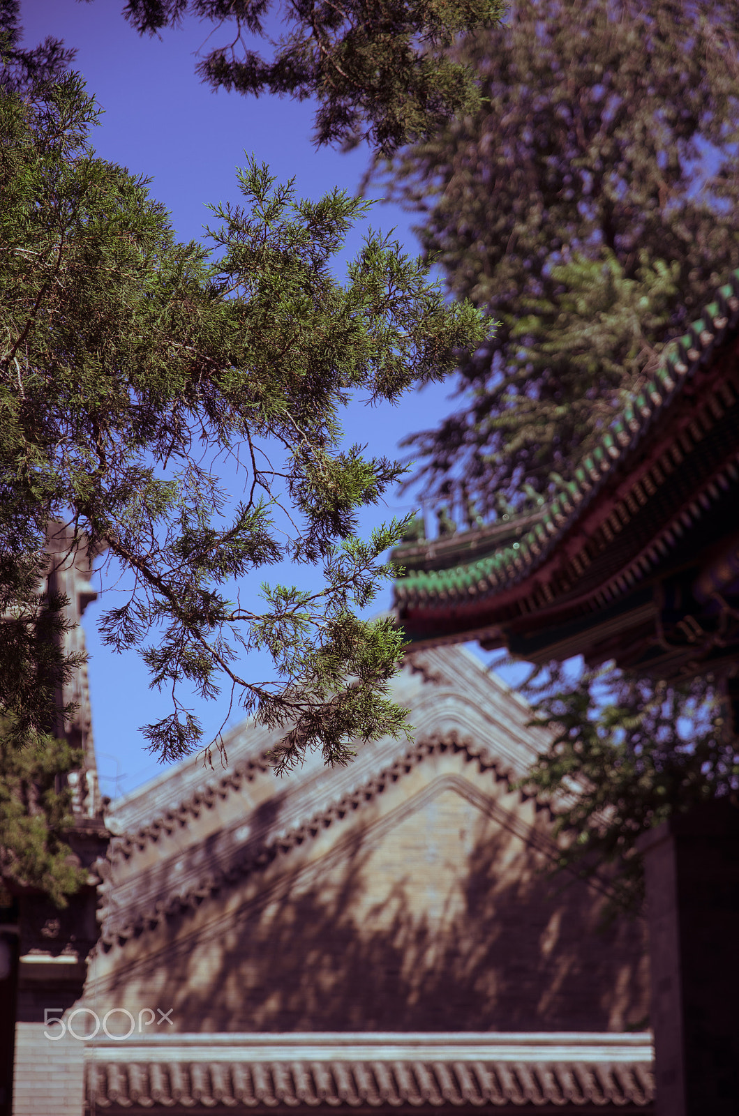 Sigma 17-70mm F2.8-4 DC Macro HSM | C sample photo. Silent time photography