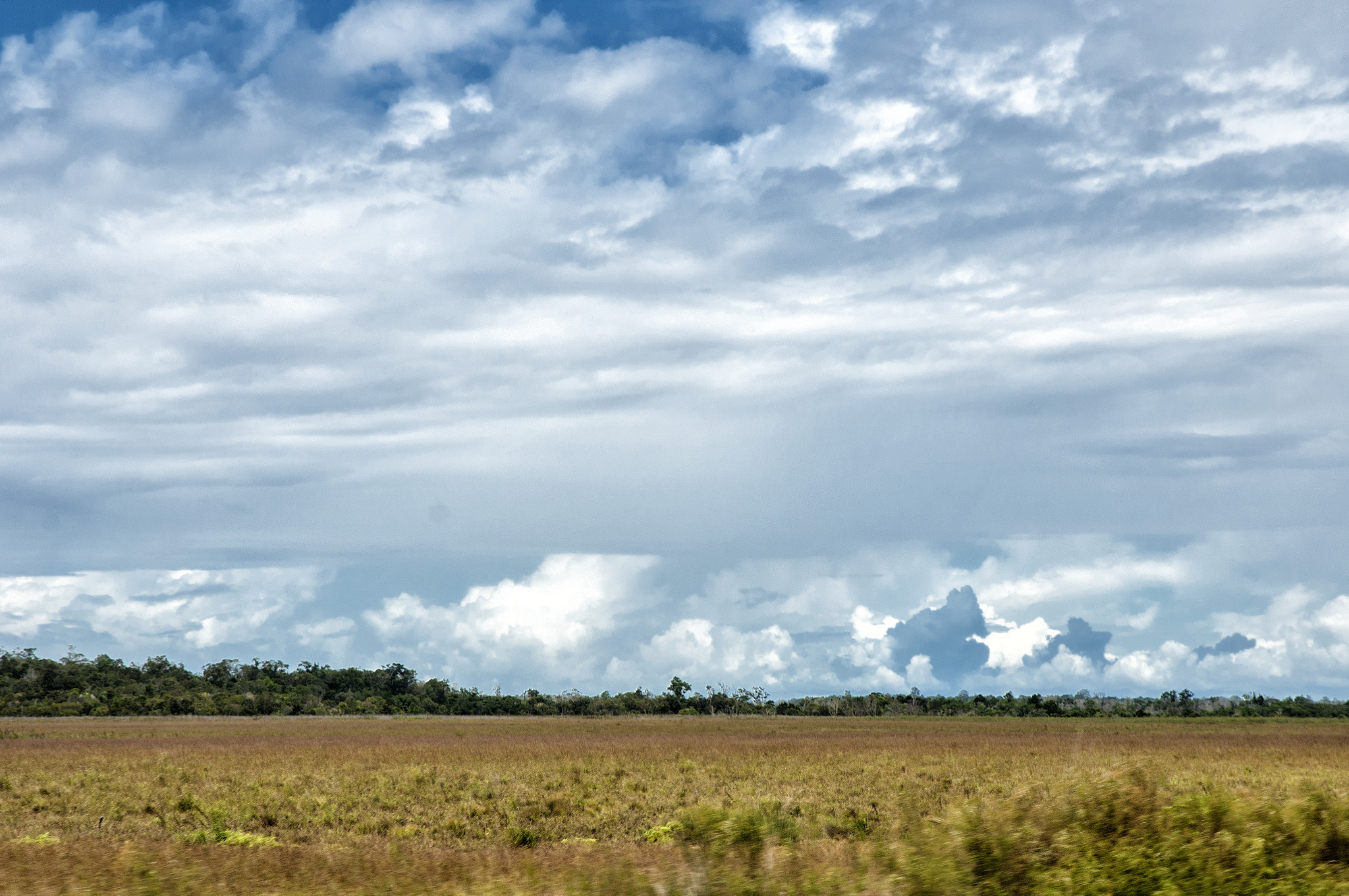 Nikon D300S sample photo. Another windows 2018 photography
