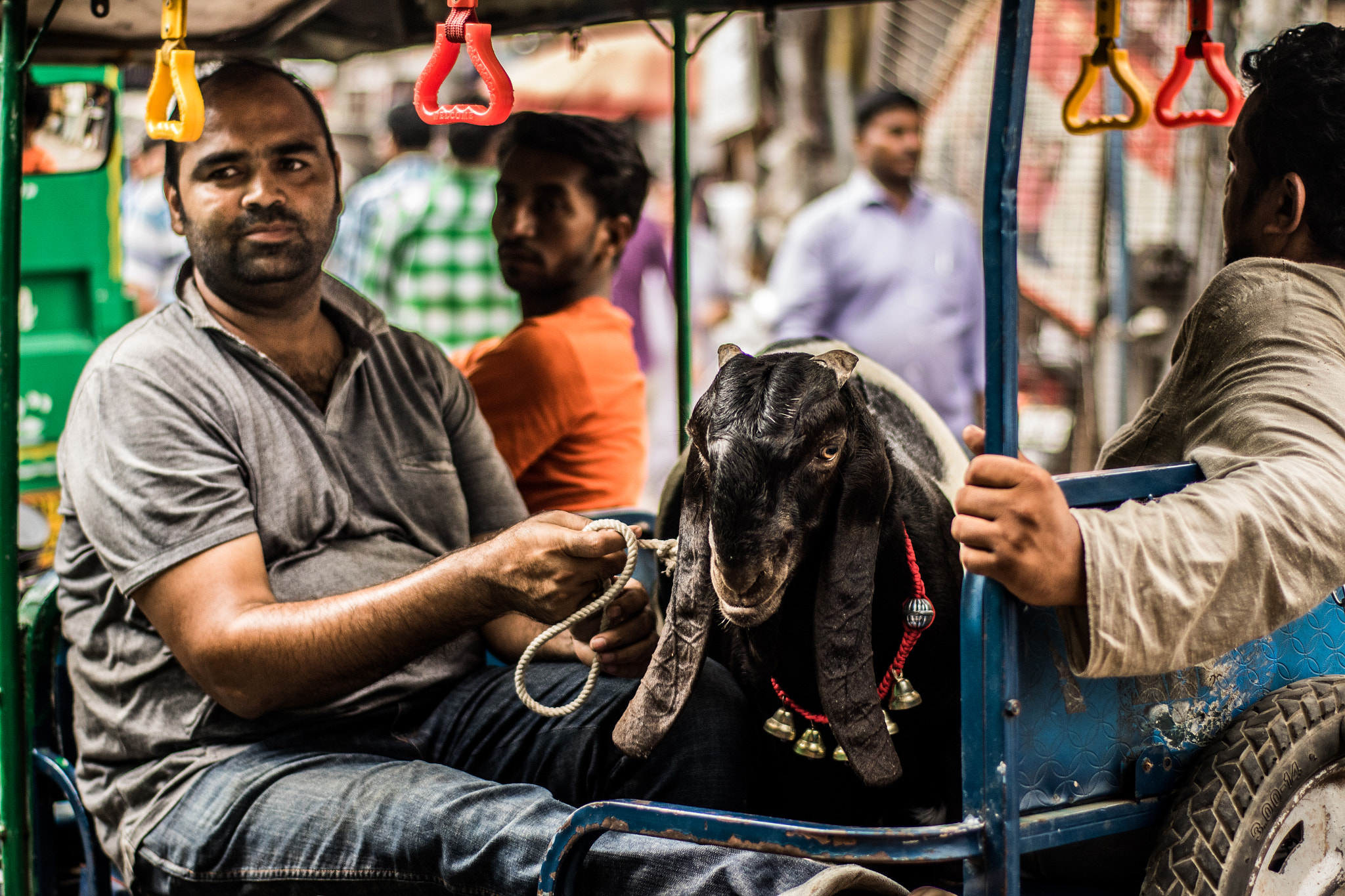 Canon EOS 7D Mark II + ZEISS Planar T* 50mm F1.4 sample photo. Eid goat ii photography