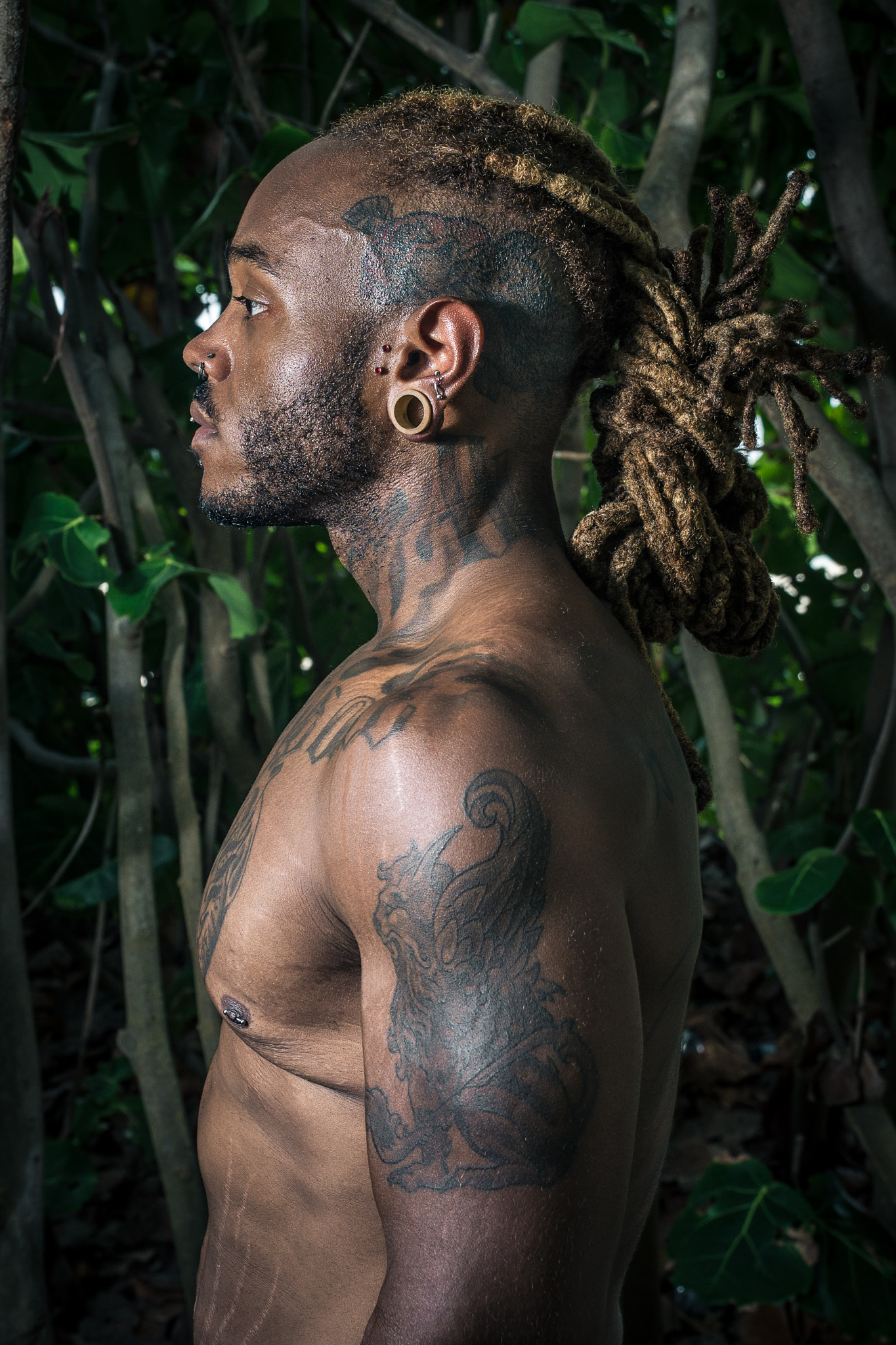 Nikon D600 sample photo. Jungles of miami photography