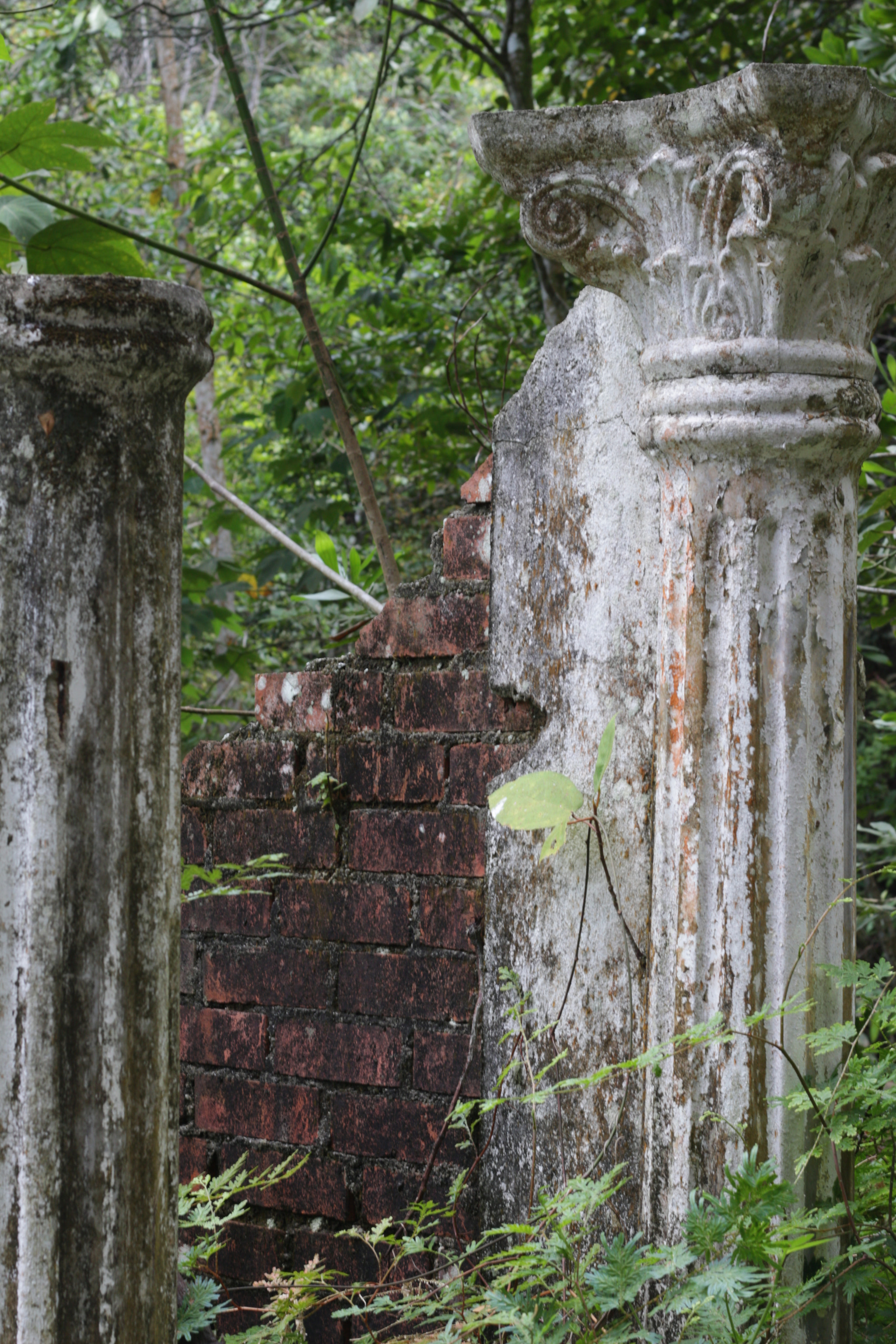 Canon EOS 700D (EOS Rebel T5i / EOS Kiss X7i) sample photo. Img photography