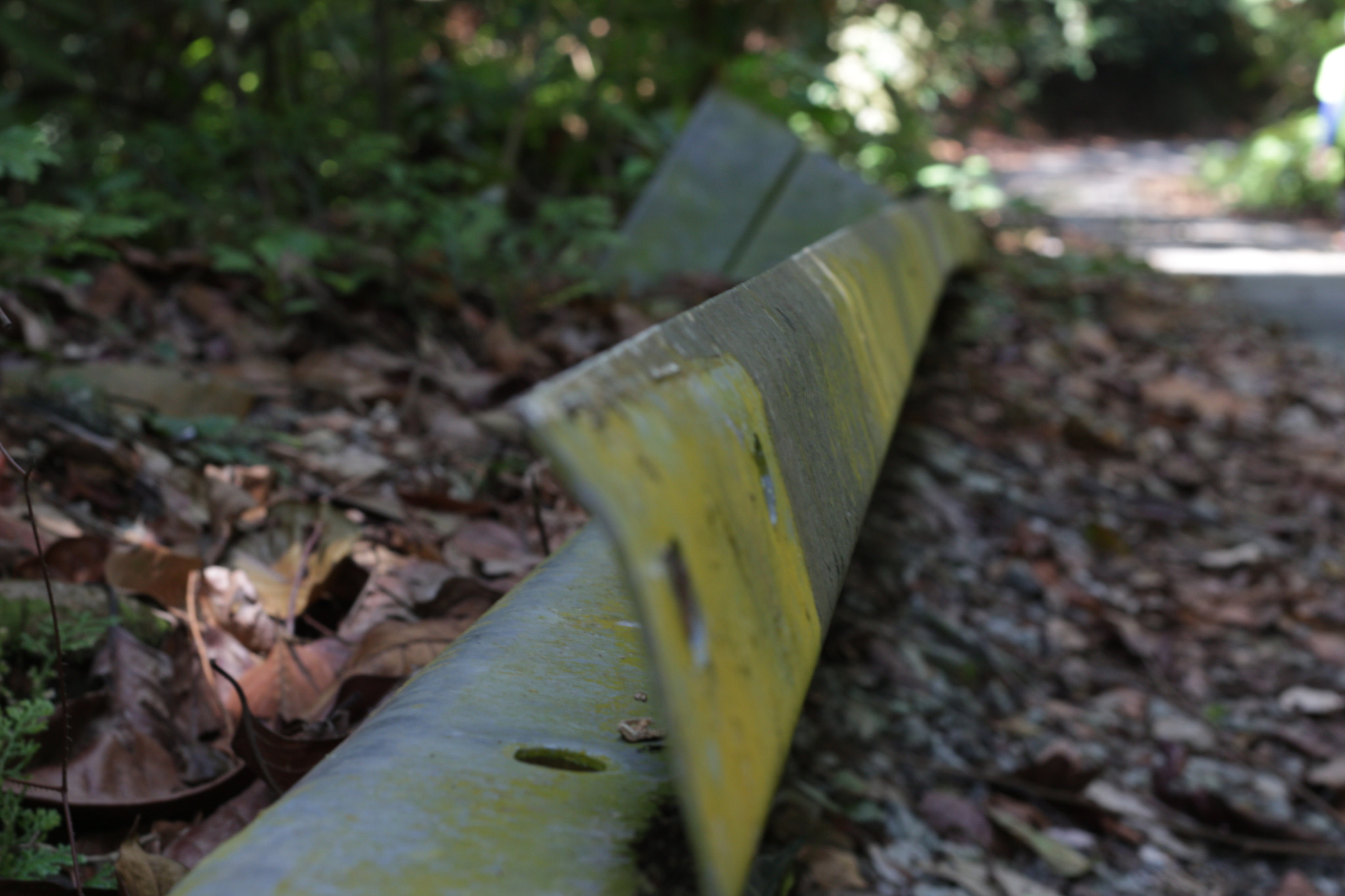 Canon EOS 700D (EOS Rebel T5i / EOS Kiss X7i) sample photo. Img photography