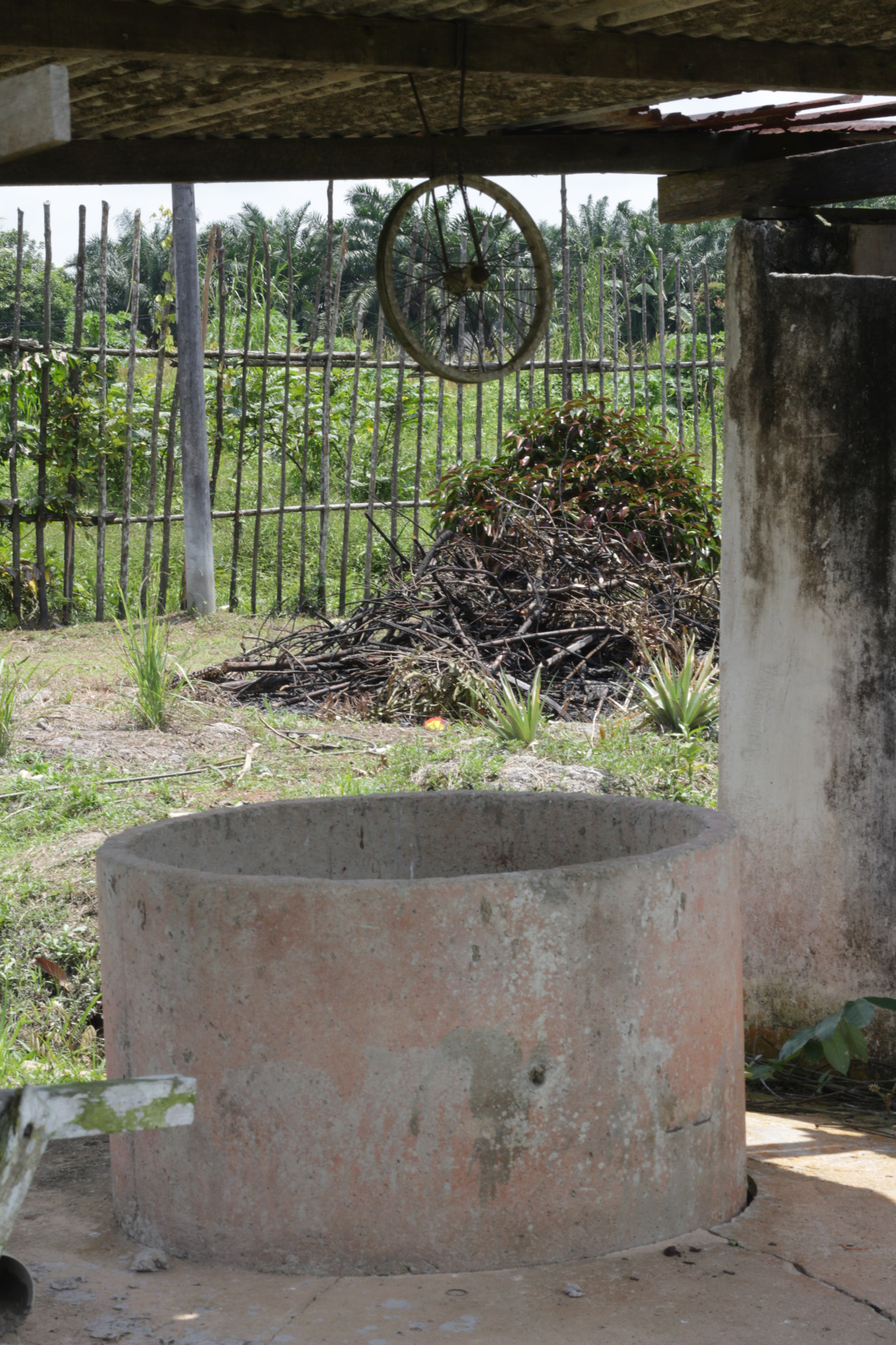 Canon EOS 700D (EOS Rebel T5i / EOS Kiss X7i) sample photo. Img photography