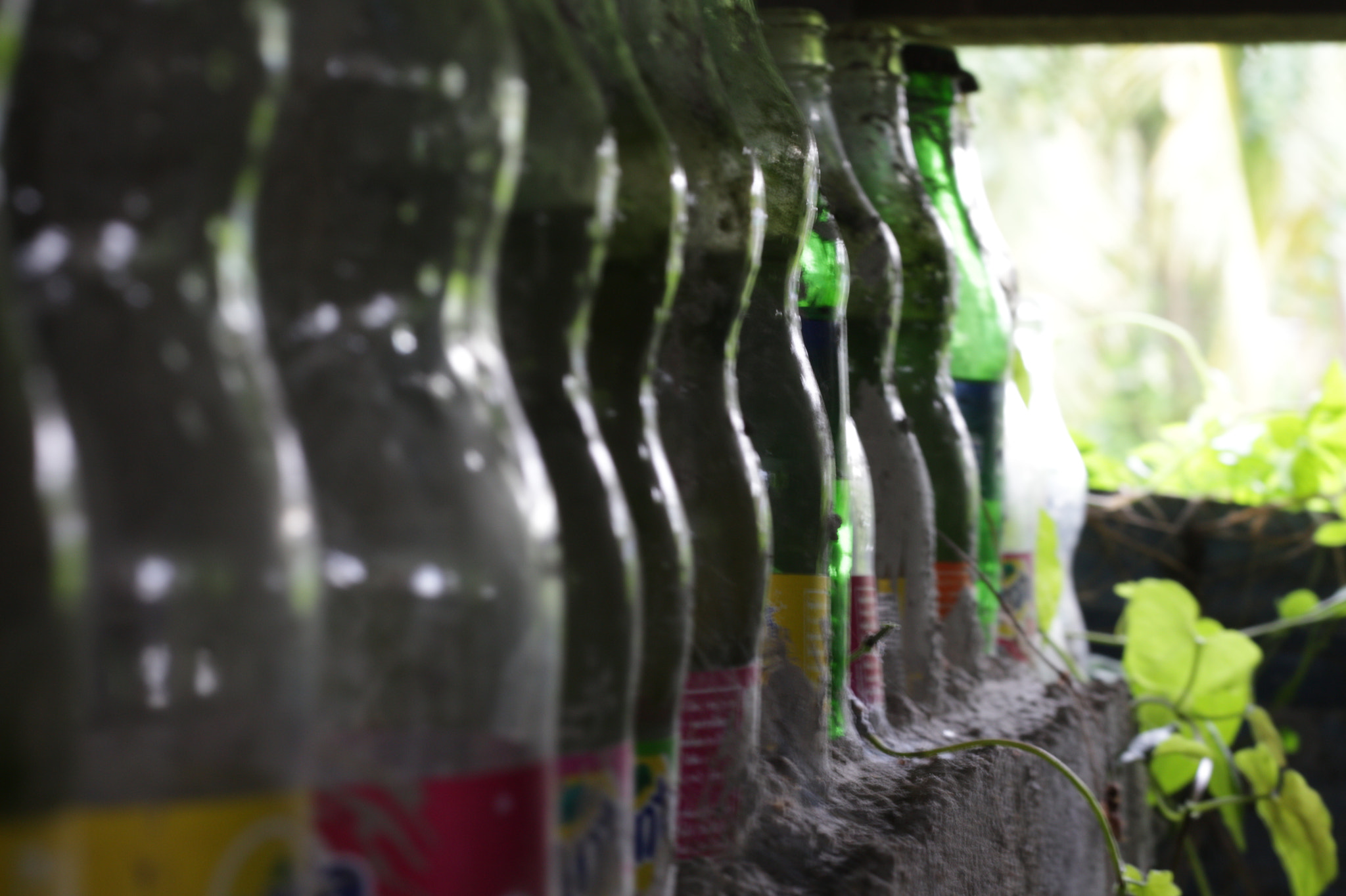 Canon EOS 700D (EOS Rebel T5i / EOS Kiss X7i) sample photo. Img photography