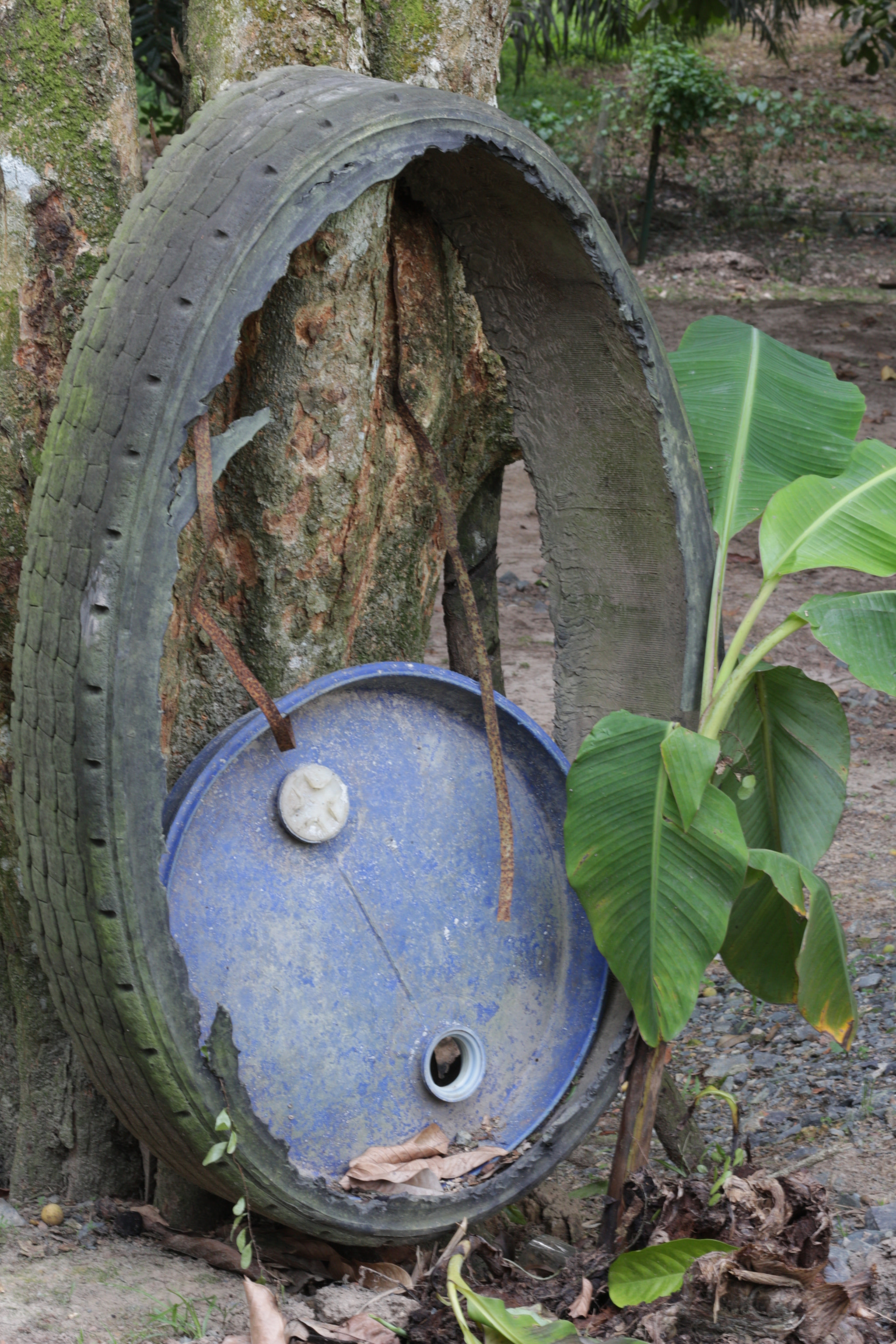 Canon EOS 700D (EOS Rebel T5i / EOS Kiss X7i) sample photo. Img photography
