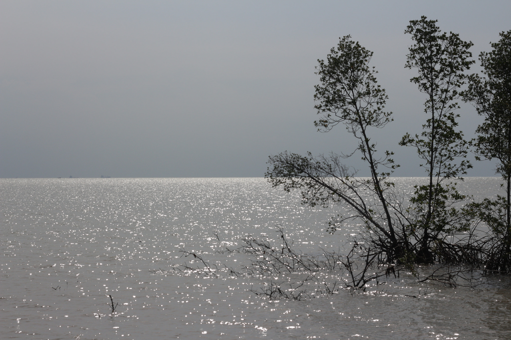 Canon EOS 700D (EOS Rebel T5i / EOS Kiss X7i) sample photo. Img photography