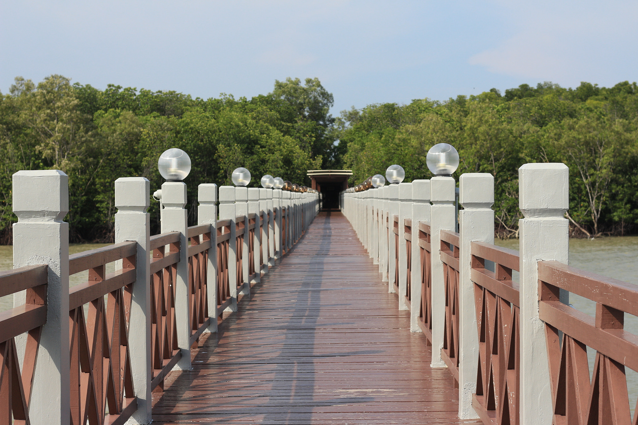 Canon EOS 700D (EOS Rebel T5i / EOS Kiss X7i) sample photo. Img photography