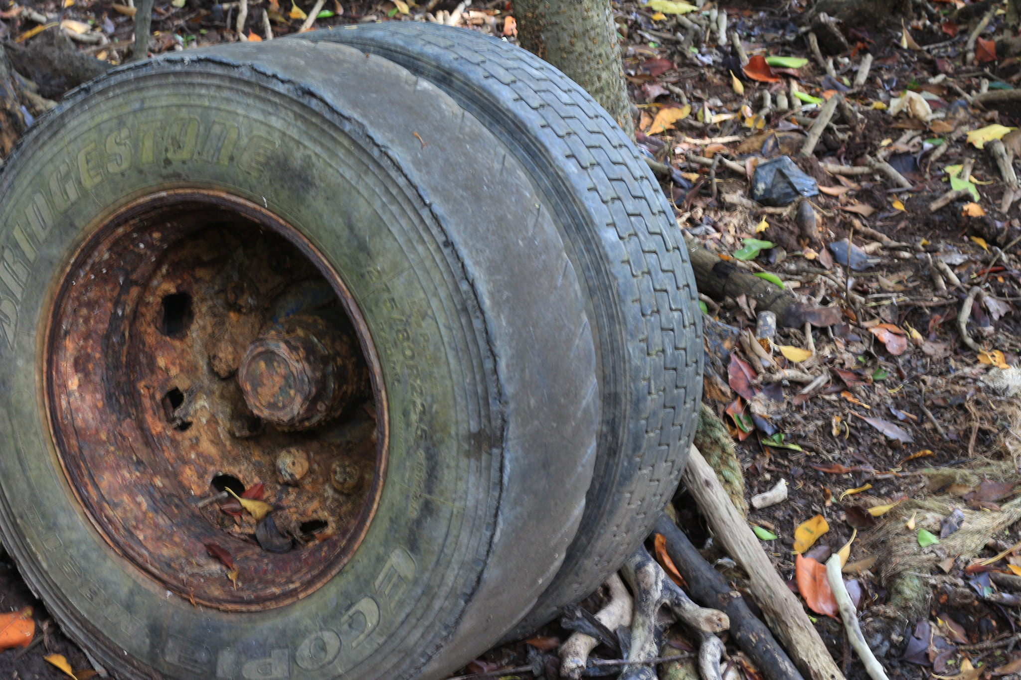 Canon EOS 700D (EOS Rebel T5i / EOS Kiss X7i) sample photo. Img photography