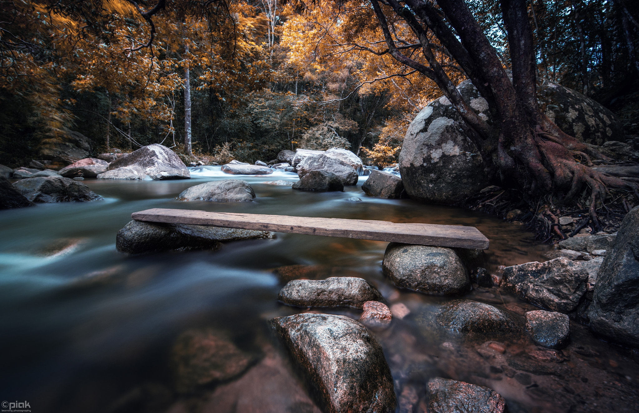 Canon EF 300mm f/2.8L sample photo. Bench photography