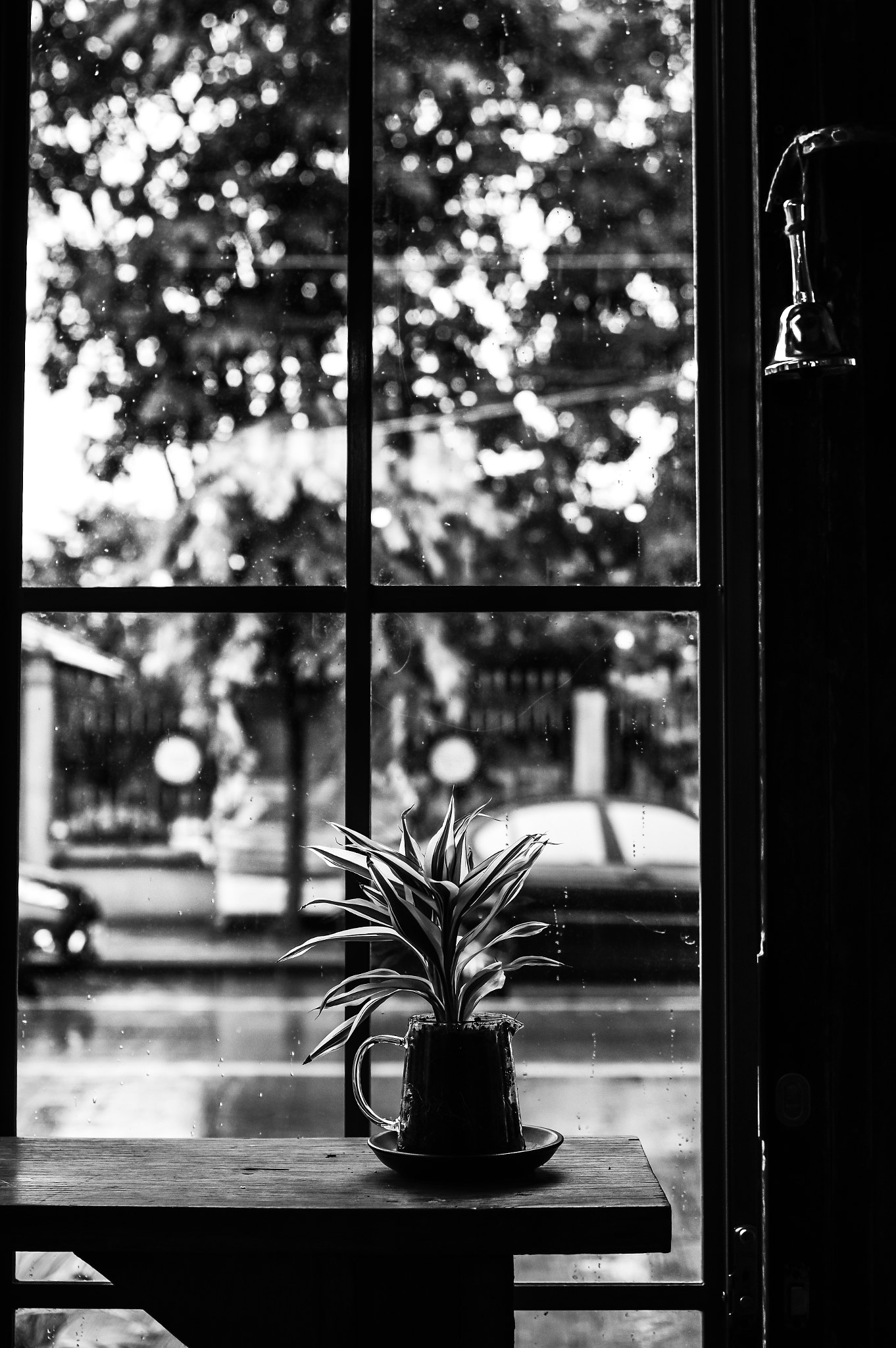 Pentax K-3 + Pentax smc DA 35mm F2.4 AL sample photo. Light in cafe photography