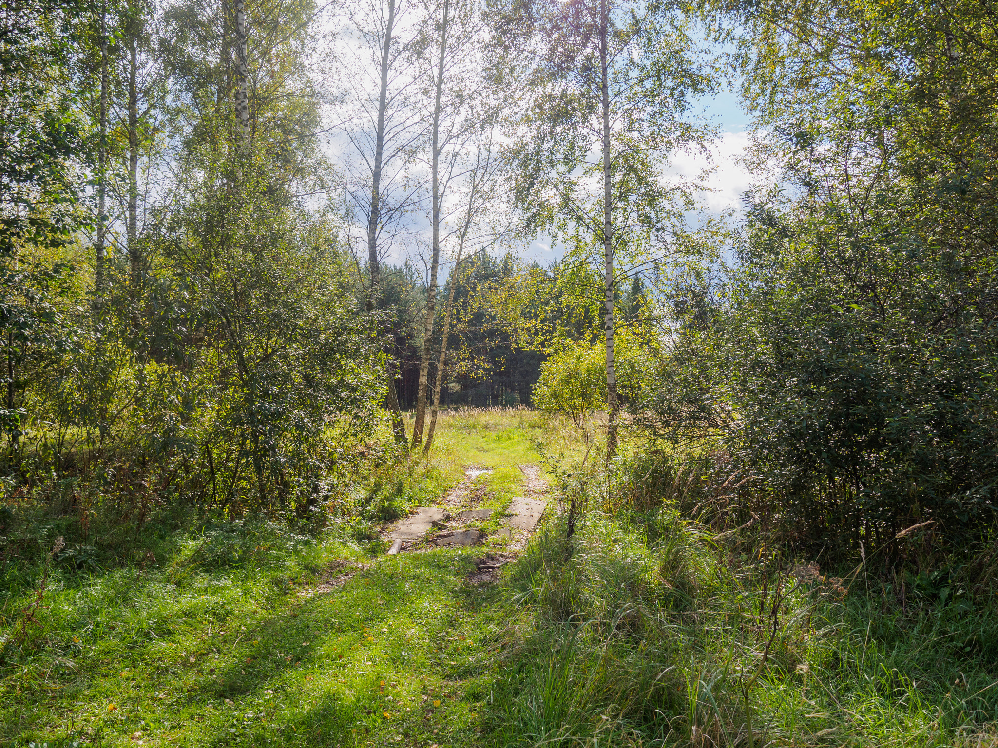 LUMIX G VARIO 14-42/F3.5-5.6 II sample photo. Automn breathe photography