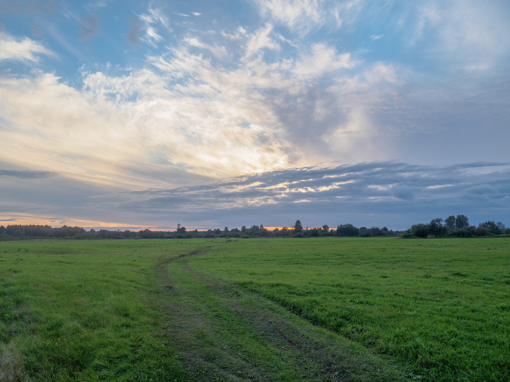 LUMIX G VARIO 14-42/F3.5-5.6 II sample photo. Green photography