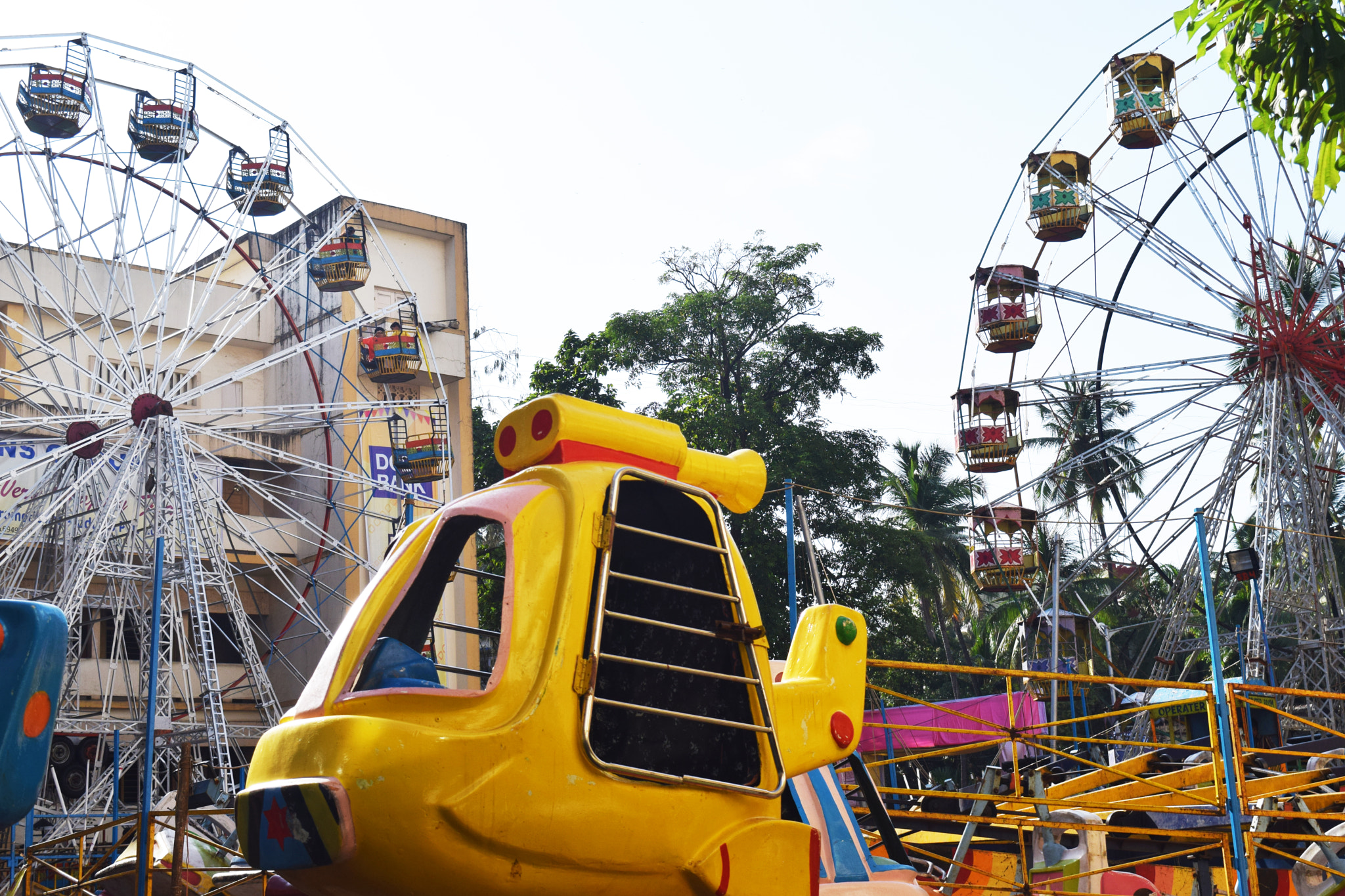 Nikon D3300 + Nikon PC-E Nikkor 24mm F3.5D ED Tilt-Shift sample photo. A walk in the park photography