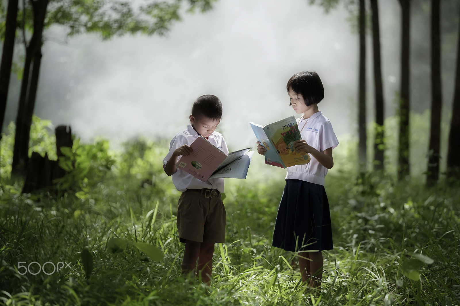 Fujifilm X-E2 + Fujifilm XF 50-140mm F2.8 R LM OIS WR sample photo. Thai students reading in the forrest photography