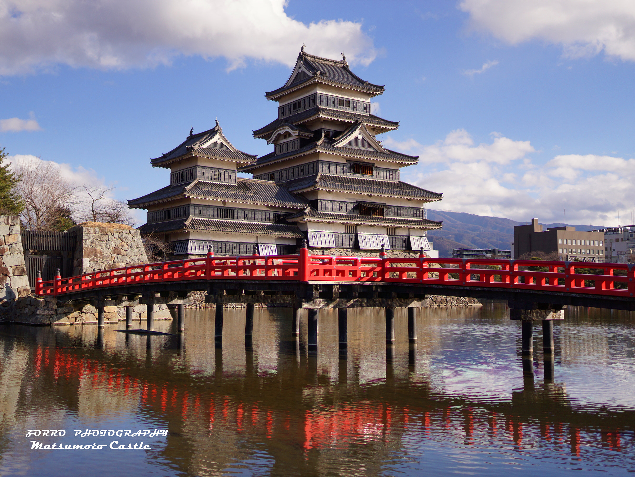 Sony Sonnar T* E 24mm F1.8 ZA sample photo. Matsumotojo castle photography