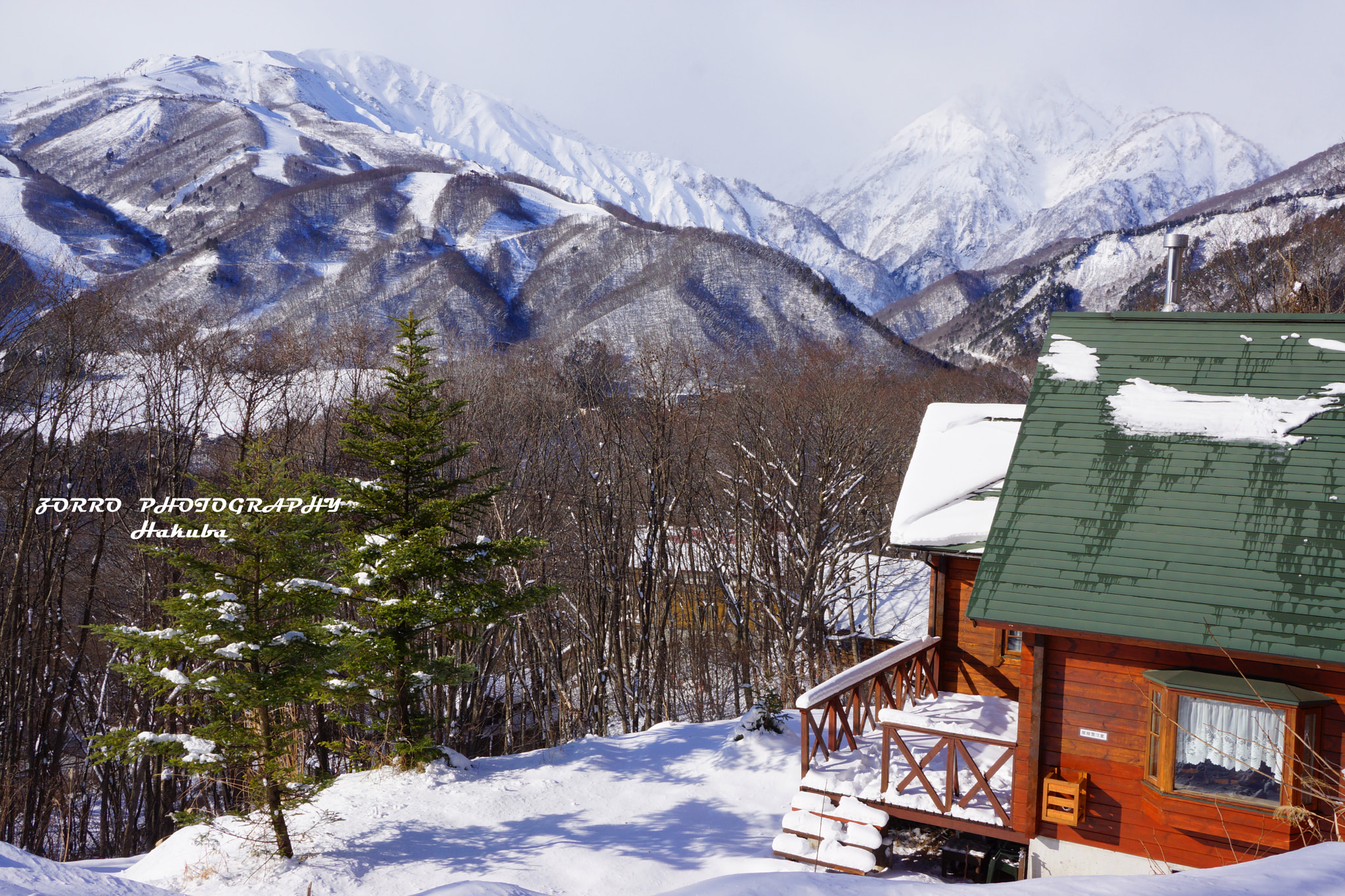 Sony Alpha NEX-7 sample photo. The house in snow woods photography