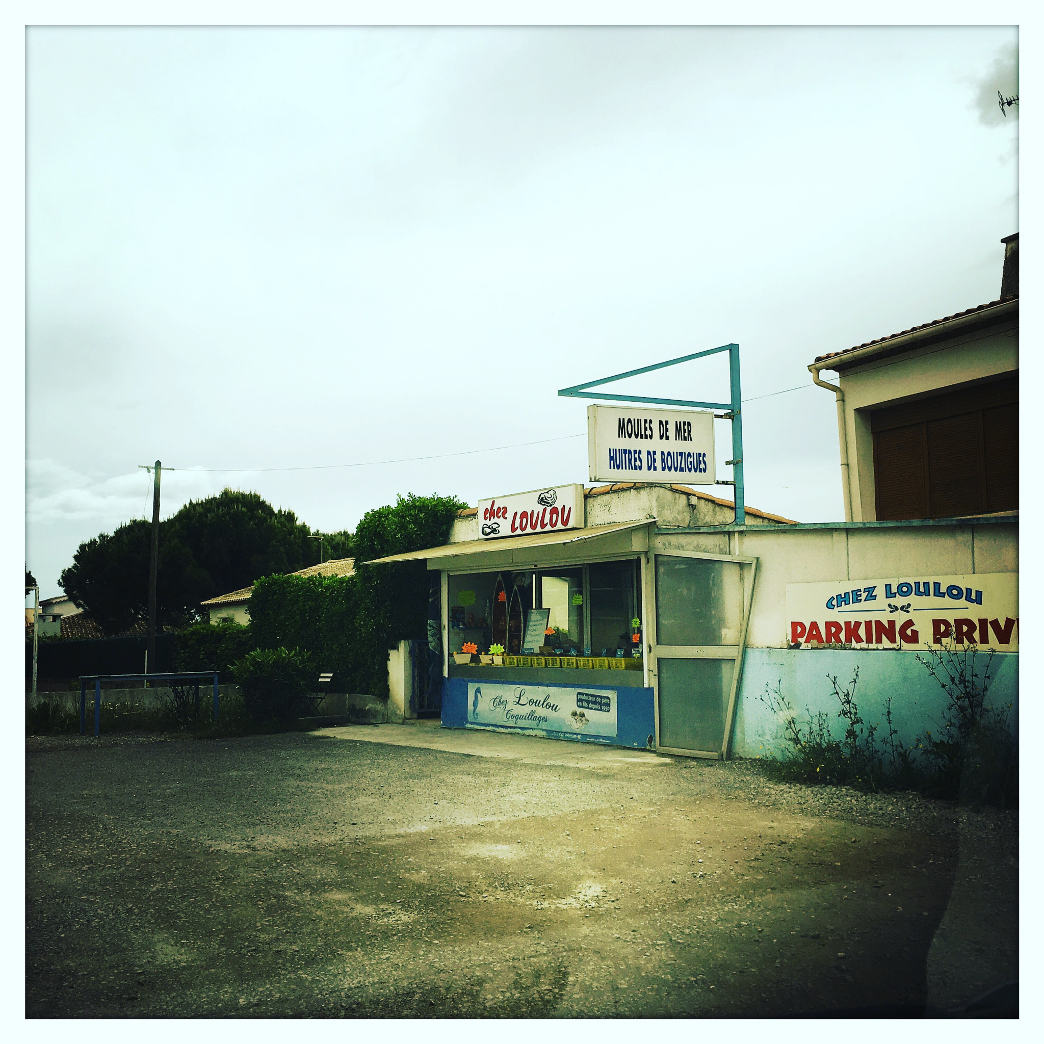 Hipstamatic 313 sample photo. Chèz loulou... photography
