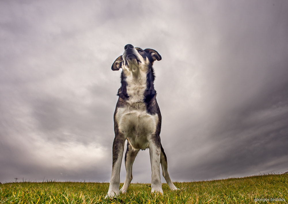 Nikon D610 + Nikon AF Nikkor 20mm F2.8D sample photo. Manolis photography