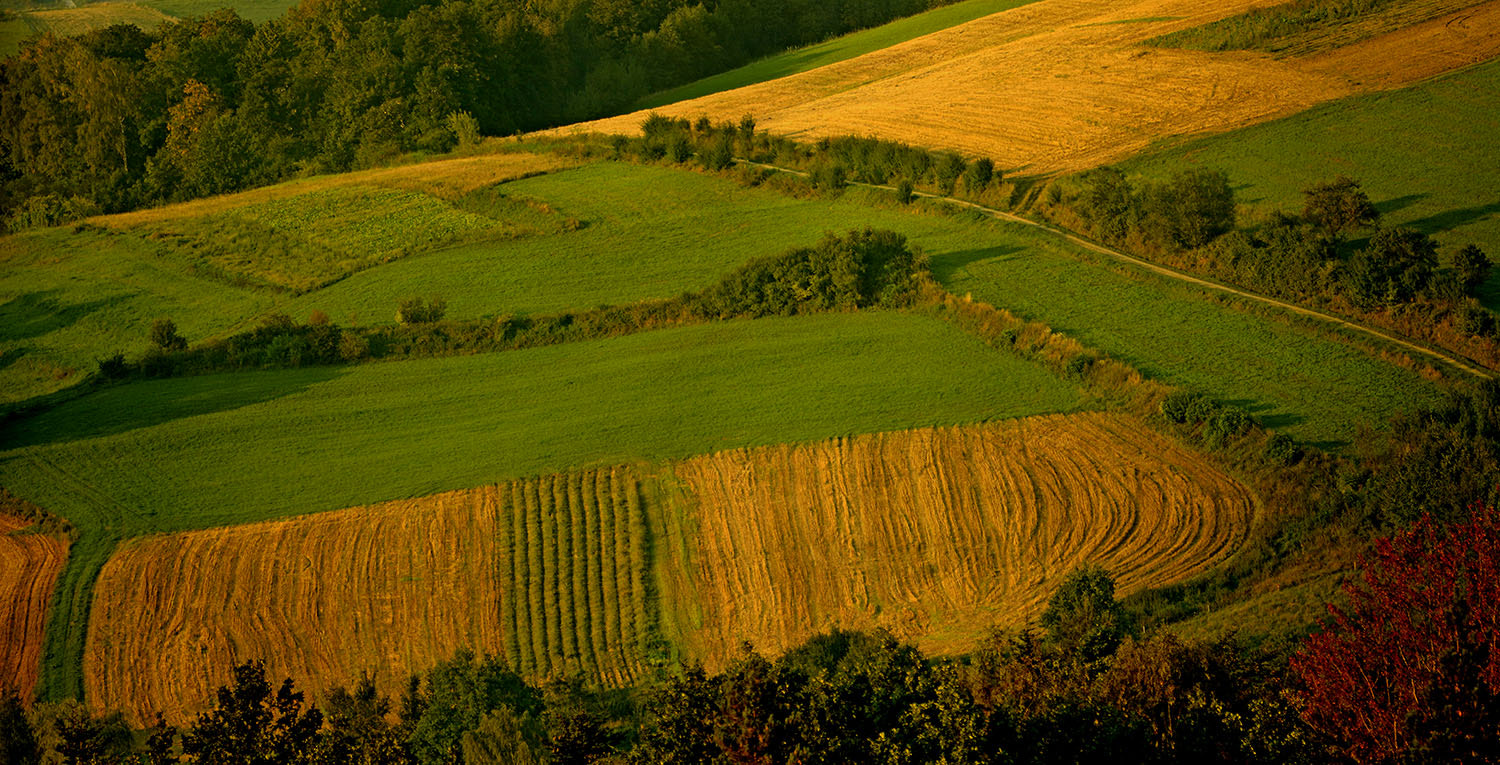 AF Zoom-Nikkor 35-105mm f/3.5-4.5 sample photo. Autumn is coming photography