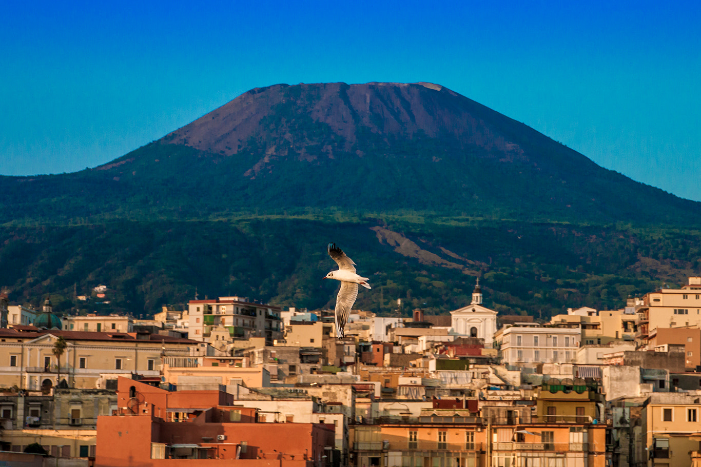 Canon EOS 500D (EOS Rebel T1i / EOS Kiss X3) sample photo. Vesuvio and liberty photography