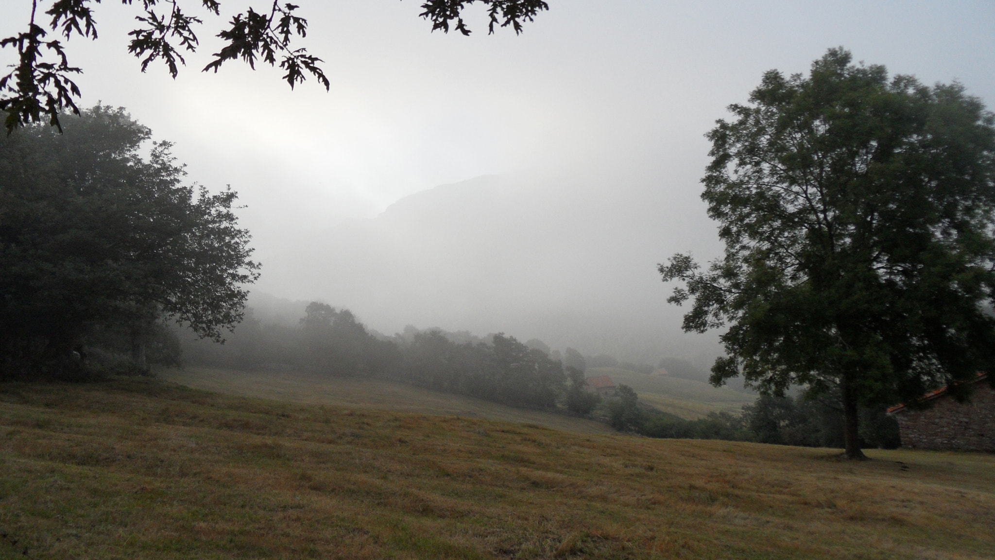 Samsung WB600 / VLUU WB600 /  WB610 sample photo. Field with fog photography