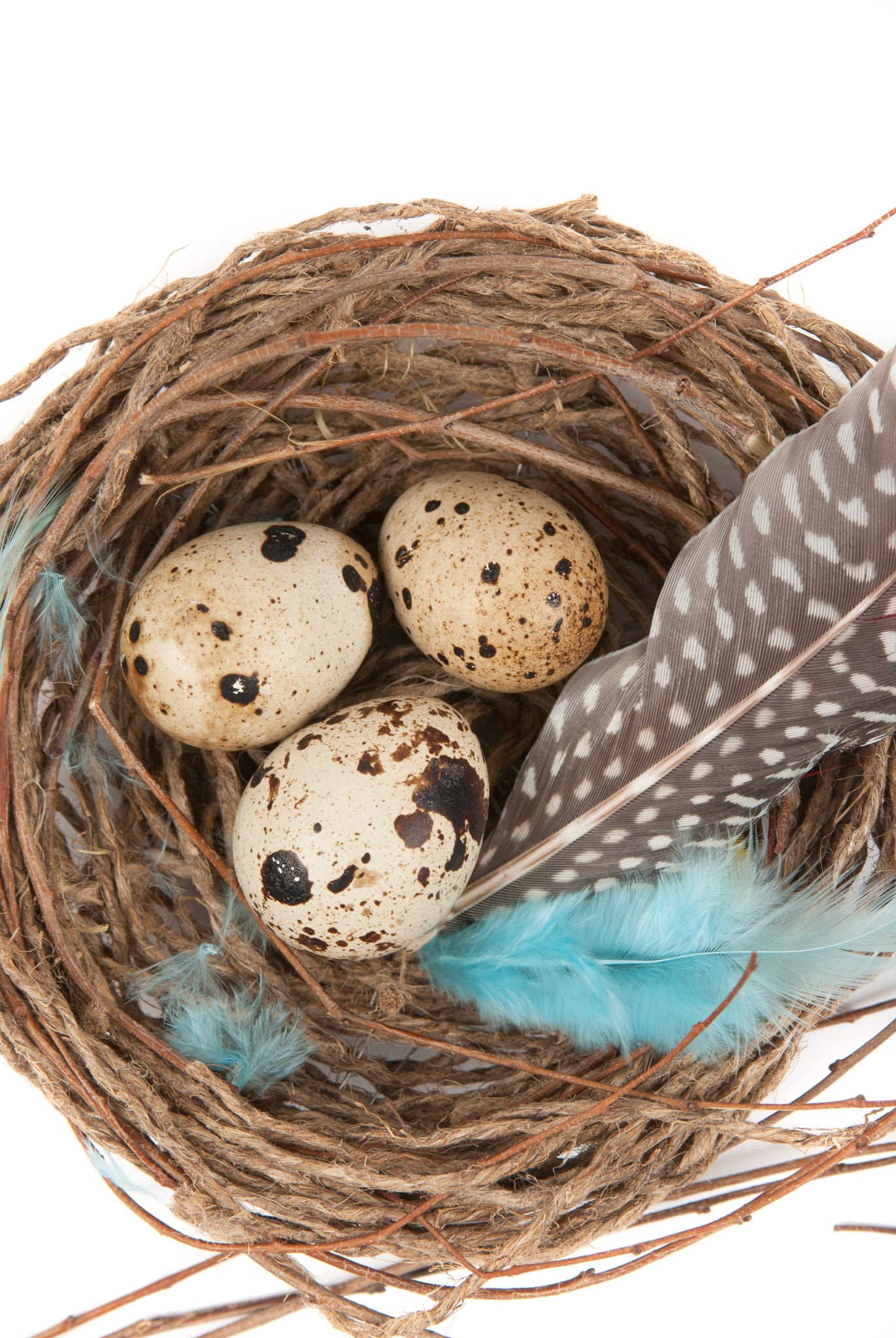 Nikon AF-S Nikkor 28-70mm F2.8 ED-IF sample photo. Quail eggs photography