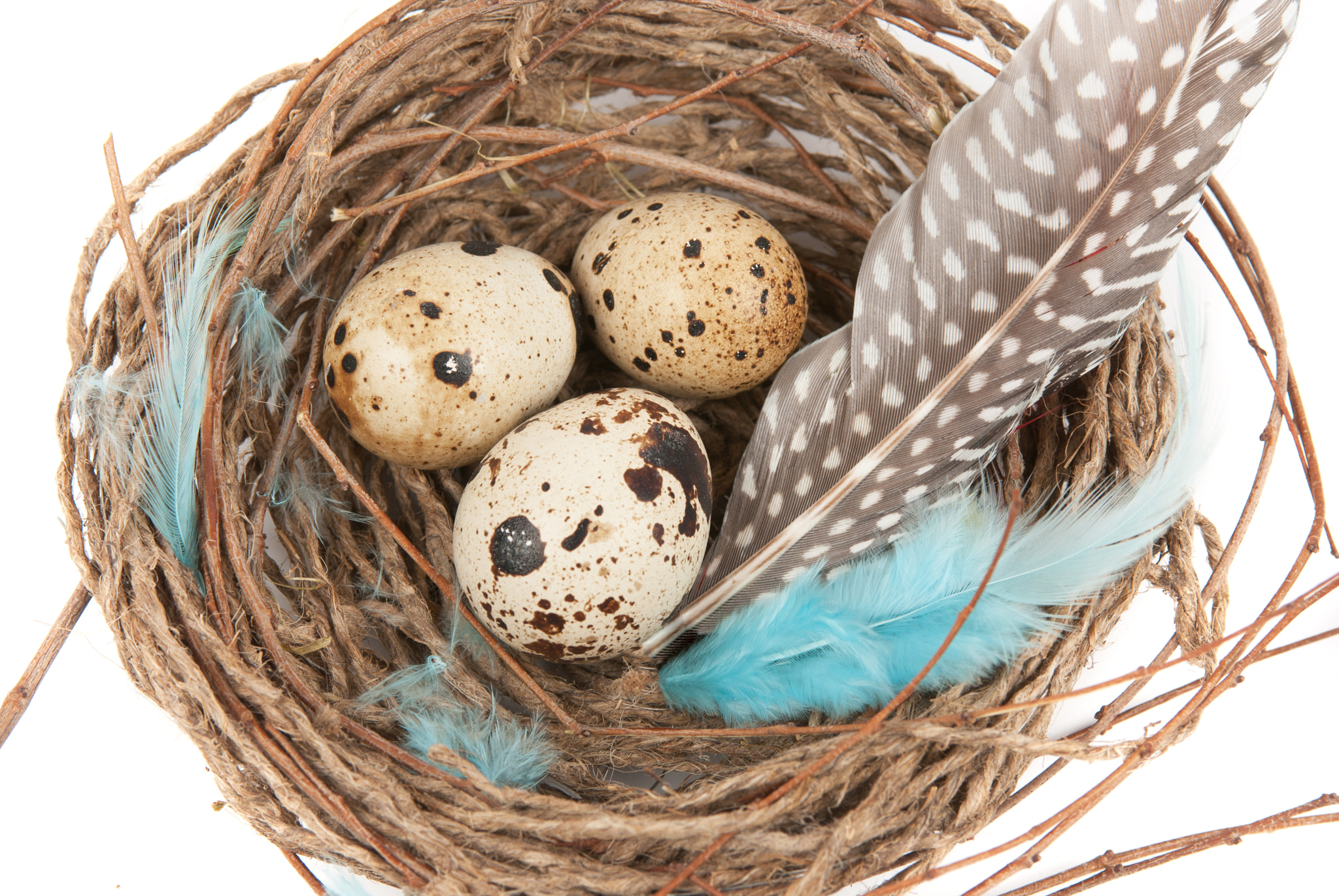 Nikon AF-S Nikkor 28-70mm F2.8 ED-IF sample photo. Quail eggs photography