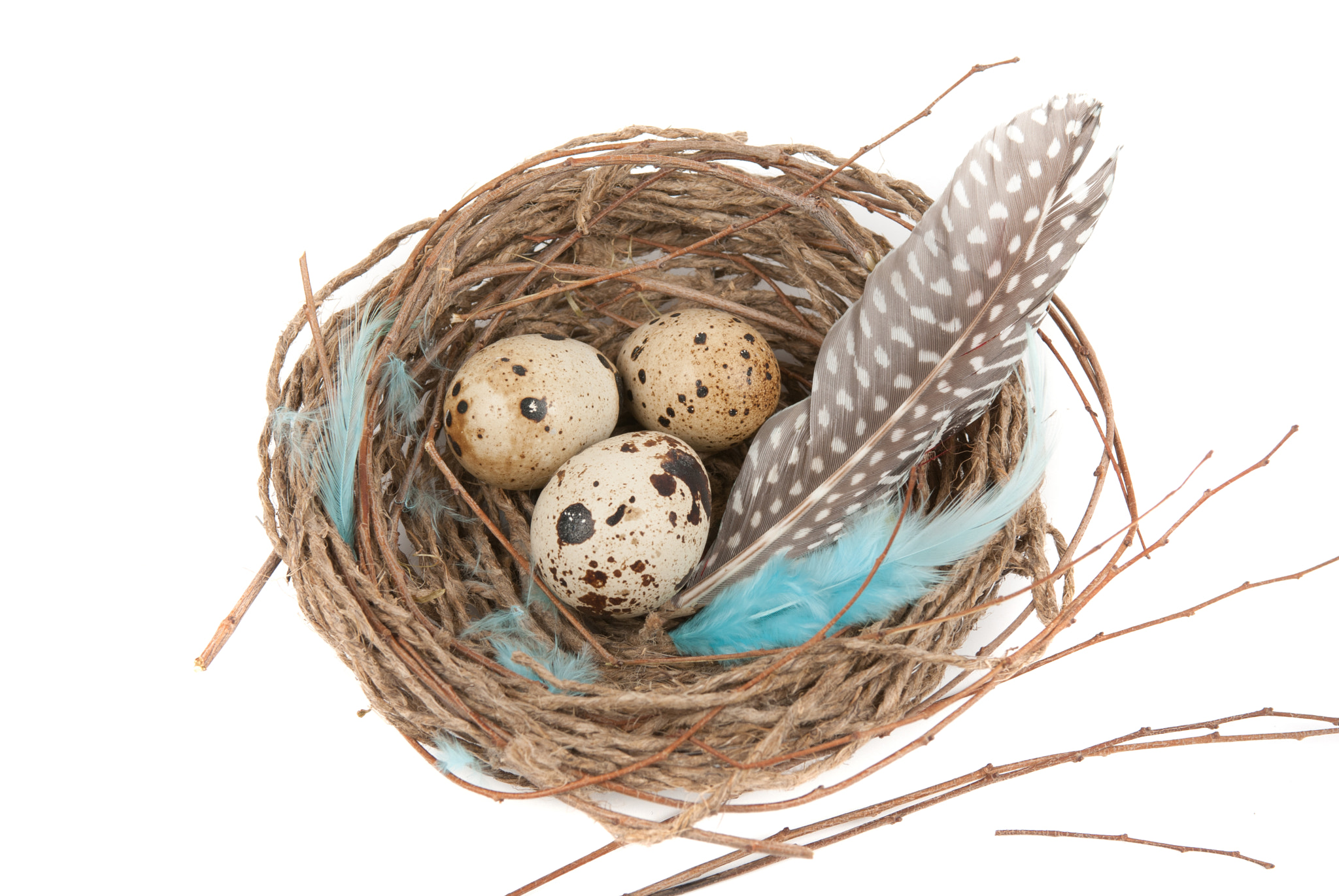 Nikon AF-S Nikkor 28-70mm F2.8 ED-IF sample photo. Quail eggs photography