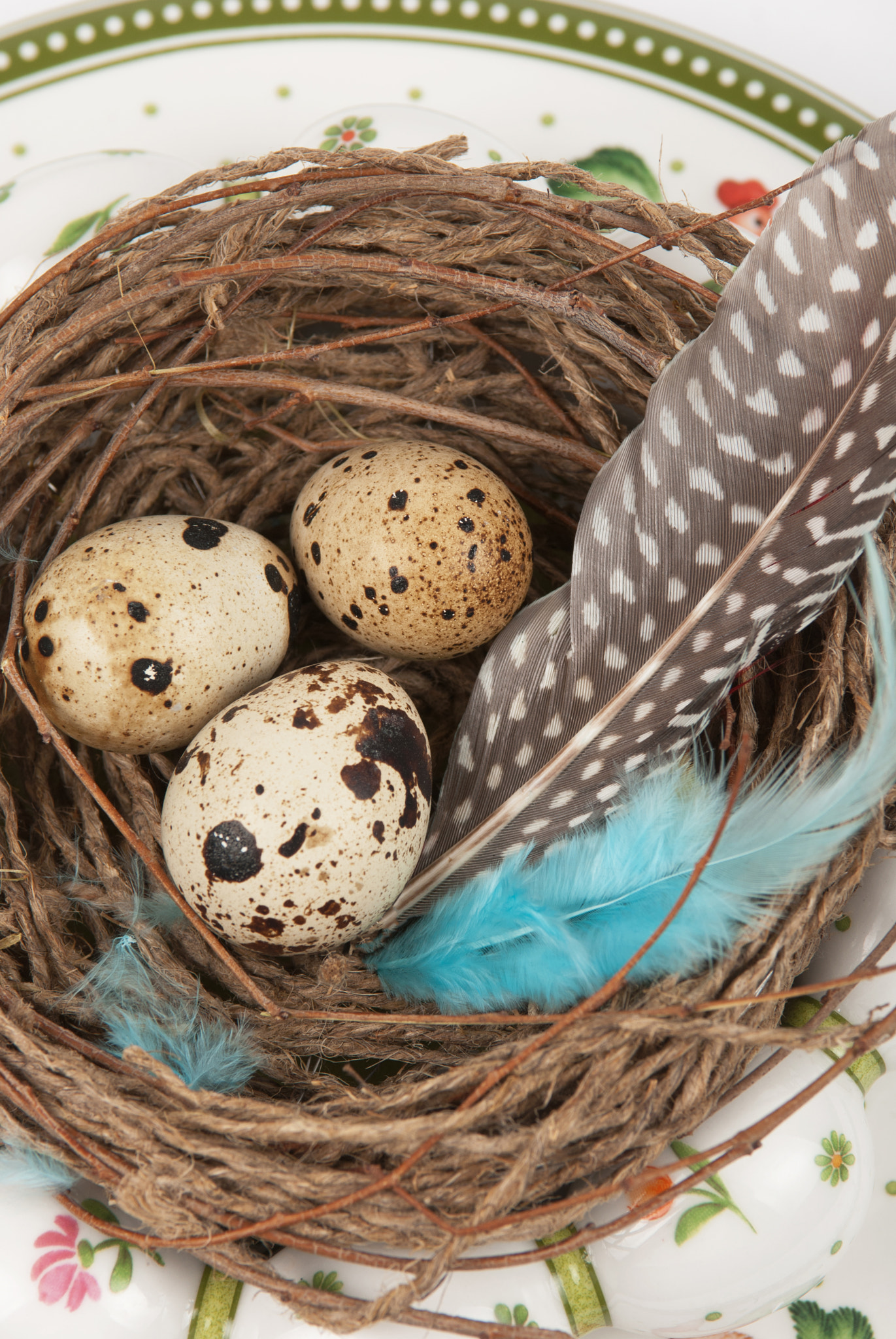 Nikon AF-S Nikkor 28-70mm F2.8 ED-IF sample photo. Quail eggs photography