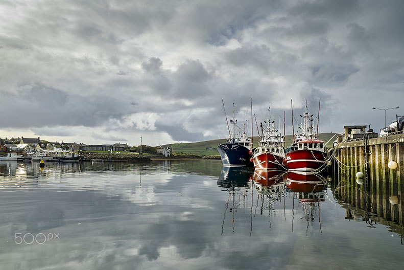 Sony a7 II + Sony E PZ 18-105mm F4 G OSS sample photo. Dingle photography