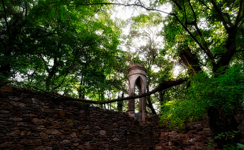 mauer by dirk derbaum on 500px.com