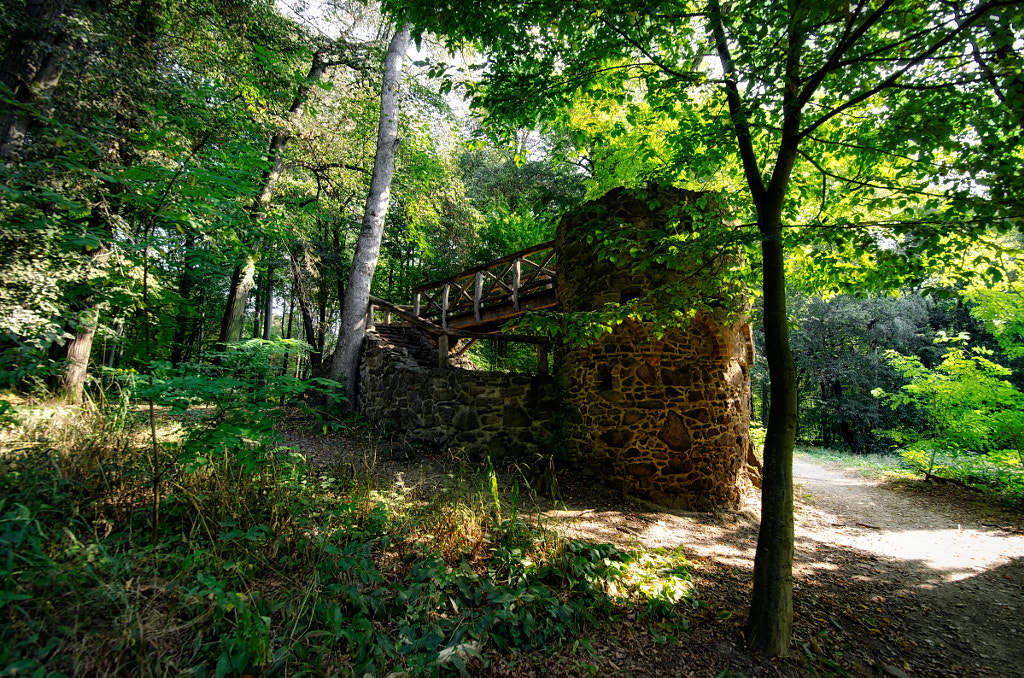 burgruine by dirk derbaum on 500px.com