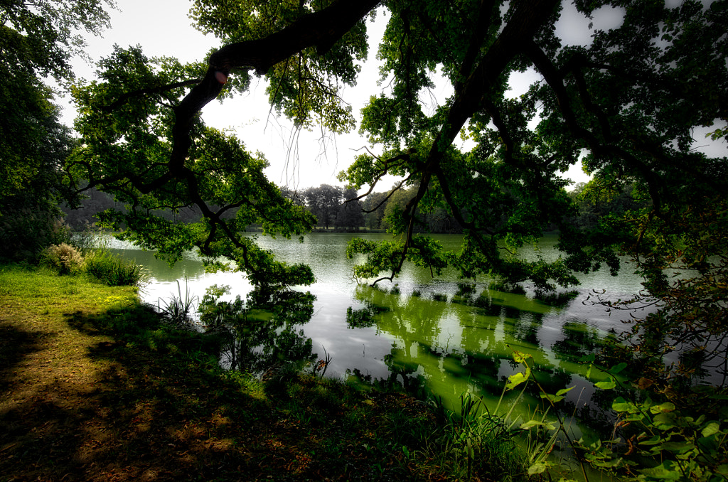 lights by dirk derbaum on 500px.com