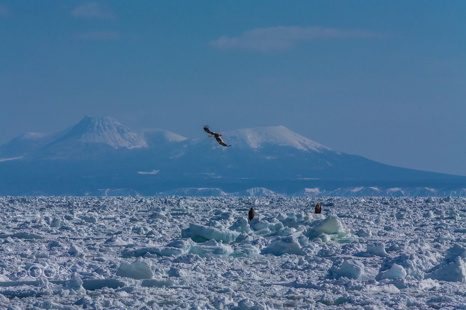 Canon EOS-1D X + Canon EF 70-200mm F2.8L IS II USM sample photo. Mountains and floating ices photography