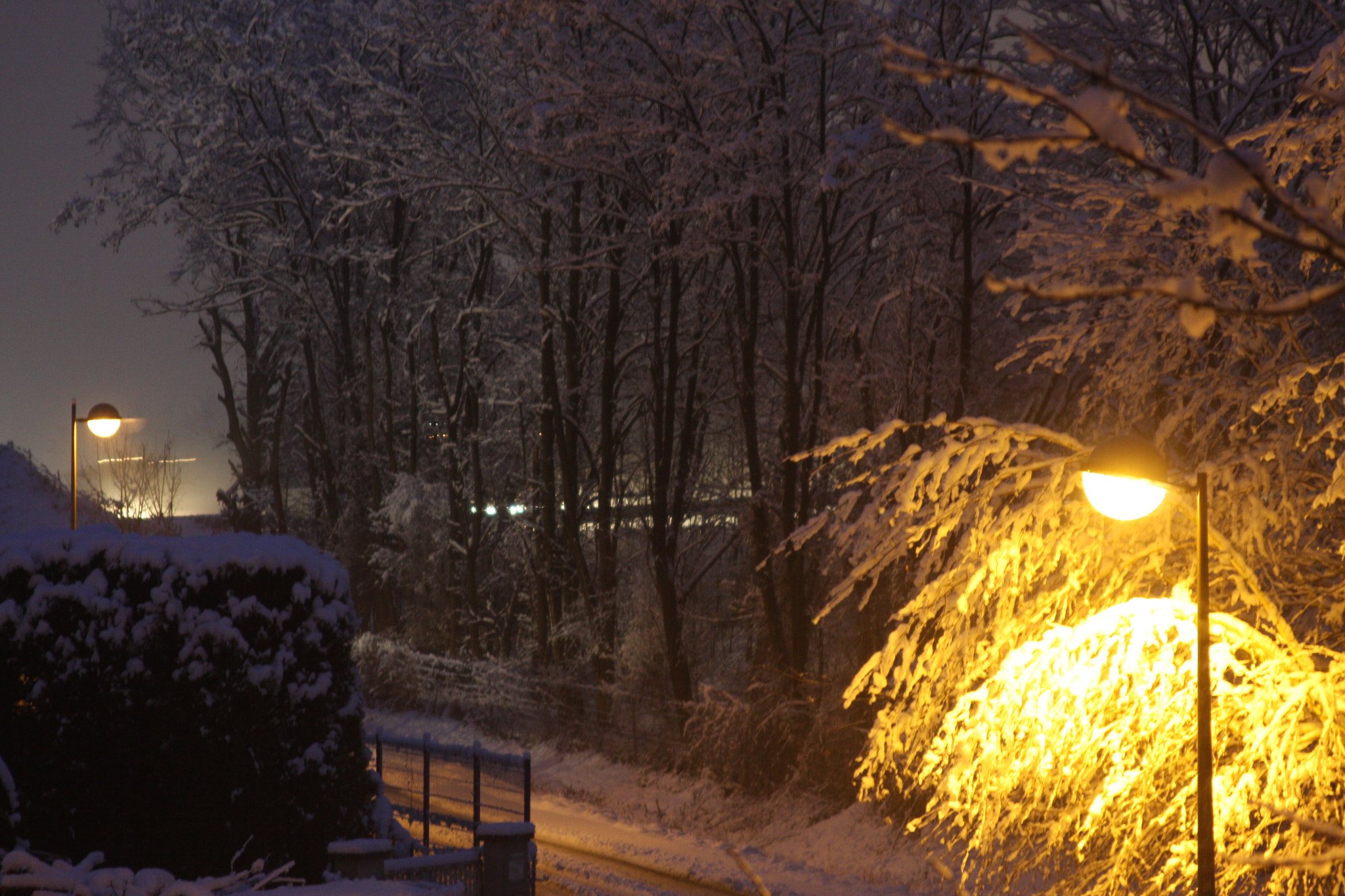 Canon EF 28-105mm f/3.5-4.5 USM sample photo. Winter morning photography