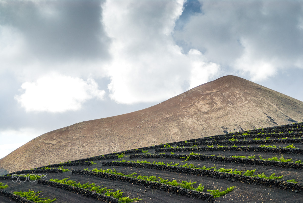 Nikon D200 sample photo. Grapes and lava photography