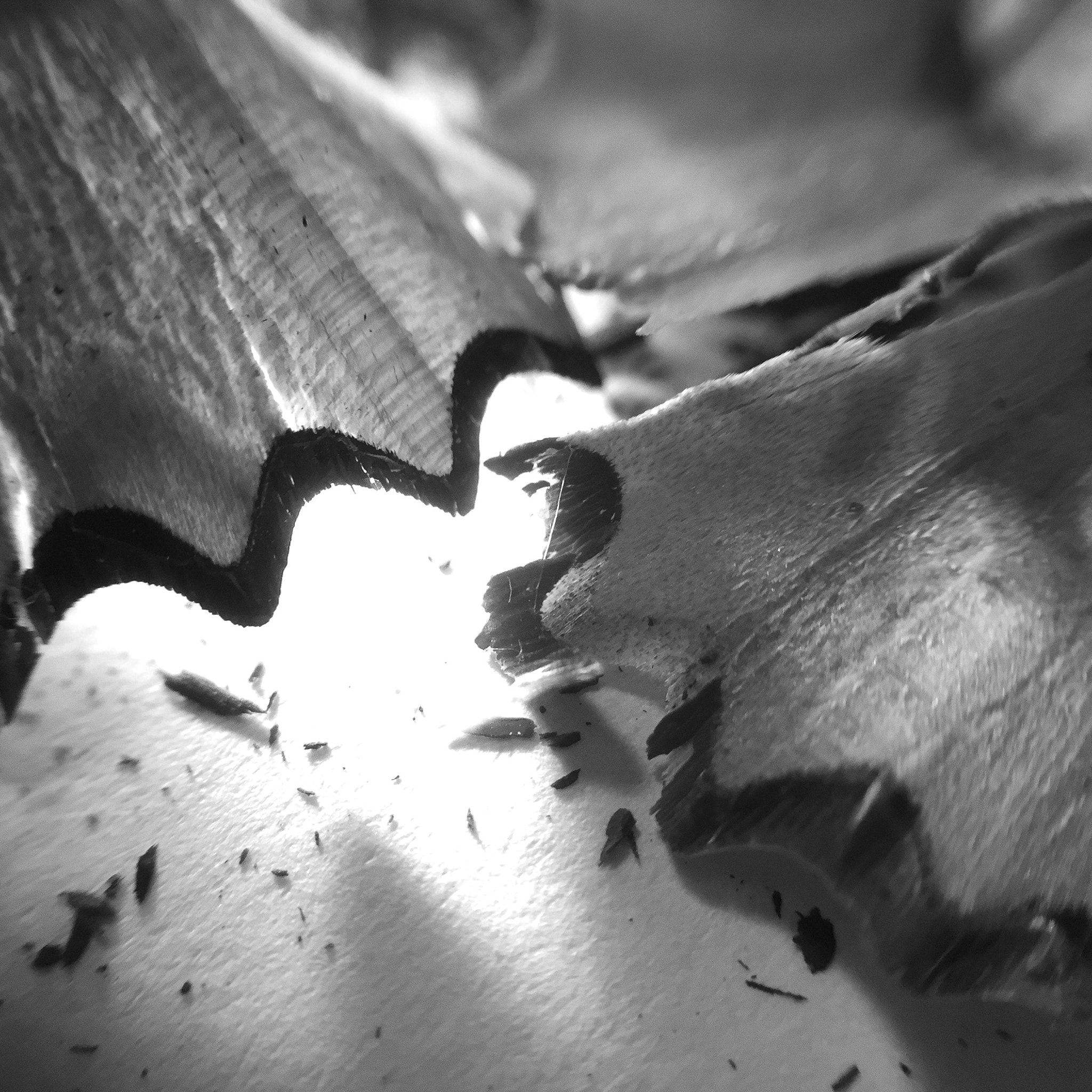 Jag.gr 645 PRO Mk III for Apple iPhone 6 sample photo. Pencil shavings. photography
