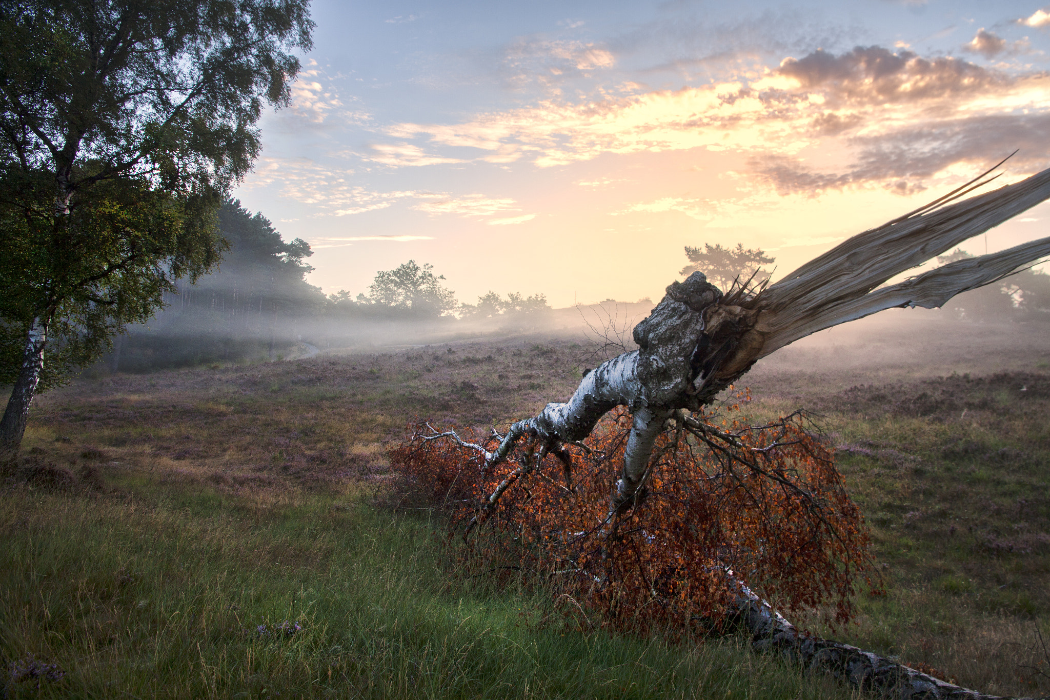 Canon EOS 50D sample photo. Early morning photography