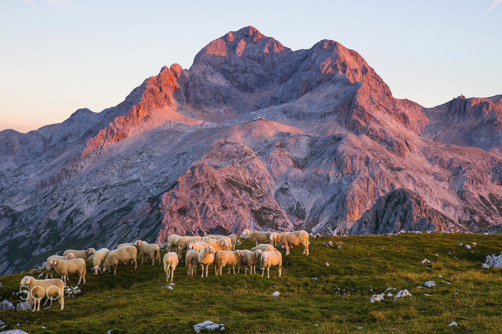 Sony a99 II + 24-70mm F2.8-2.8 SSM sample photo. Mountain pasture photography