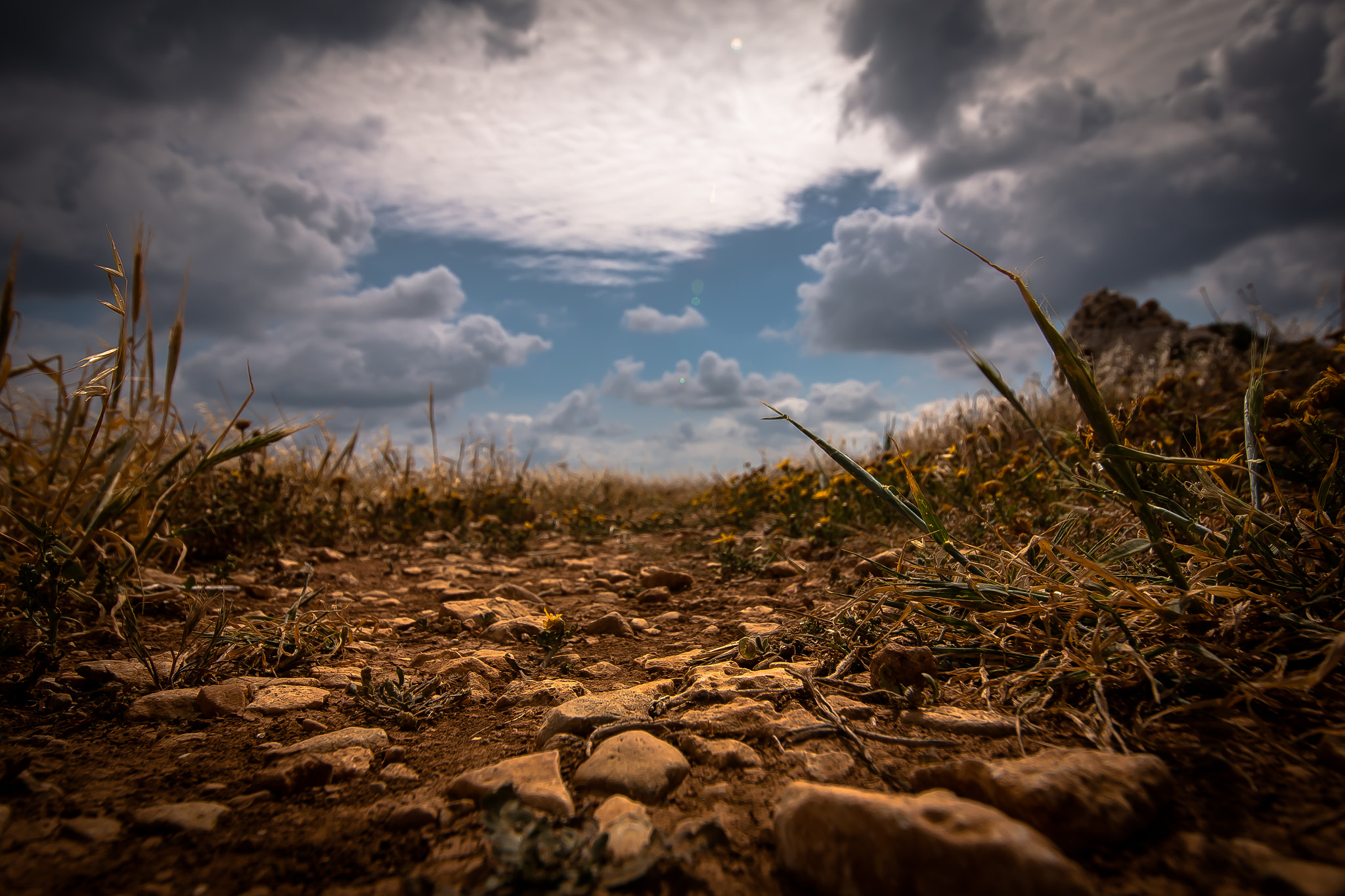 Sigma 12-24mm F4.5-5.6 II DG HSM sample photo. Mg photography