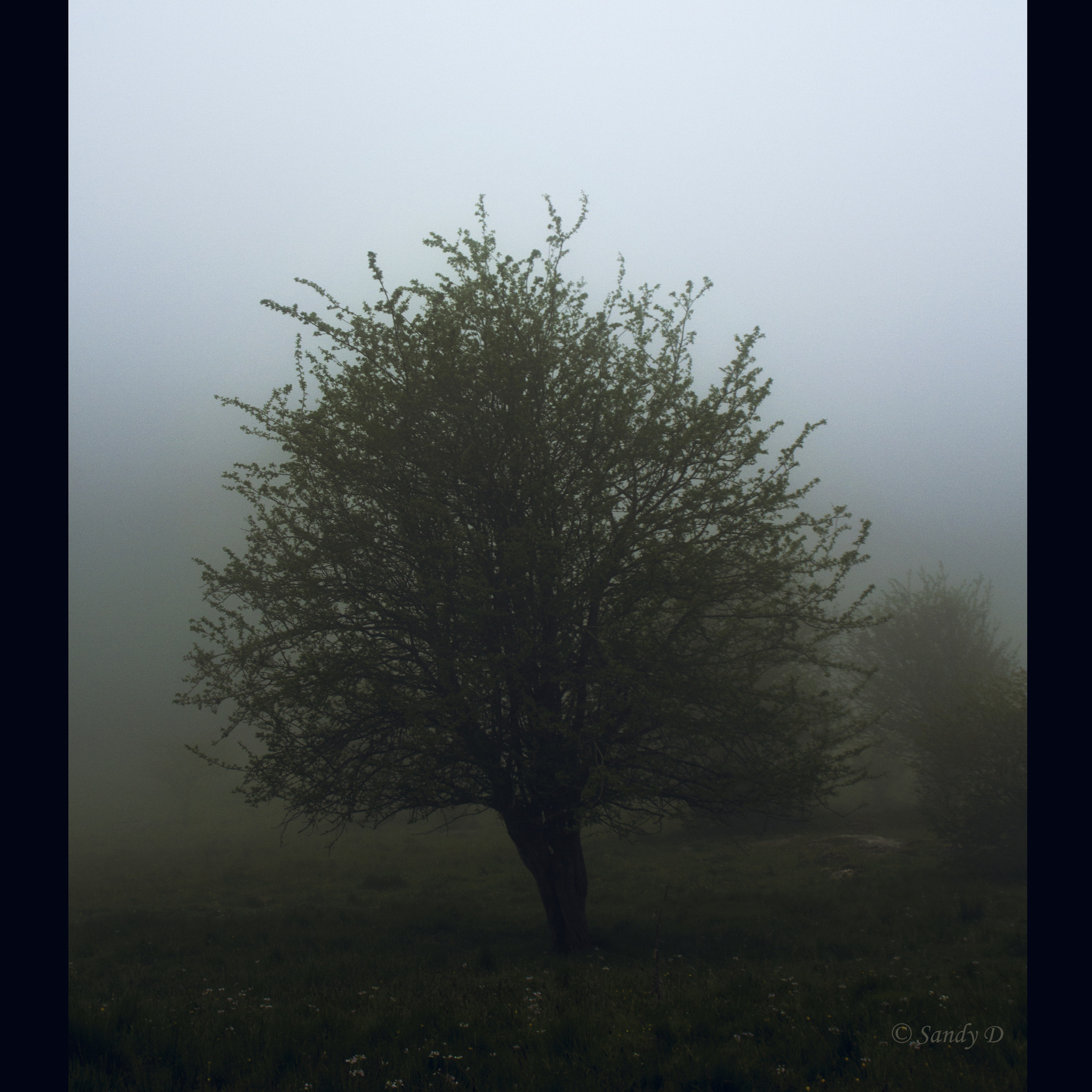 Canon EF 20-35mm F3.5-4.5 USM sample photo. Petit matin photography