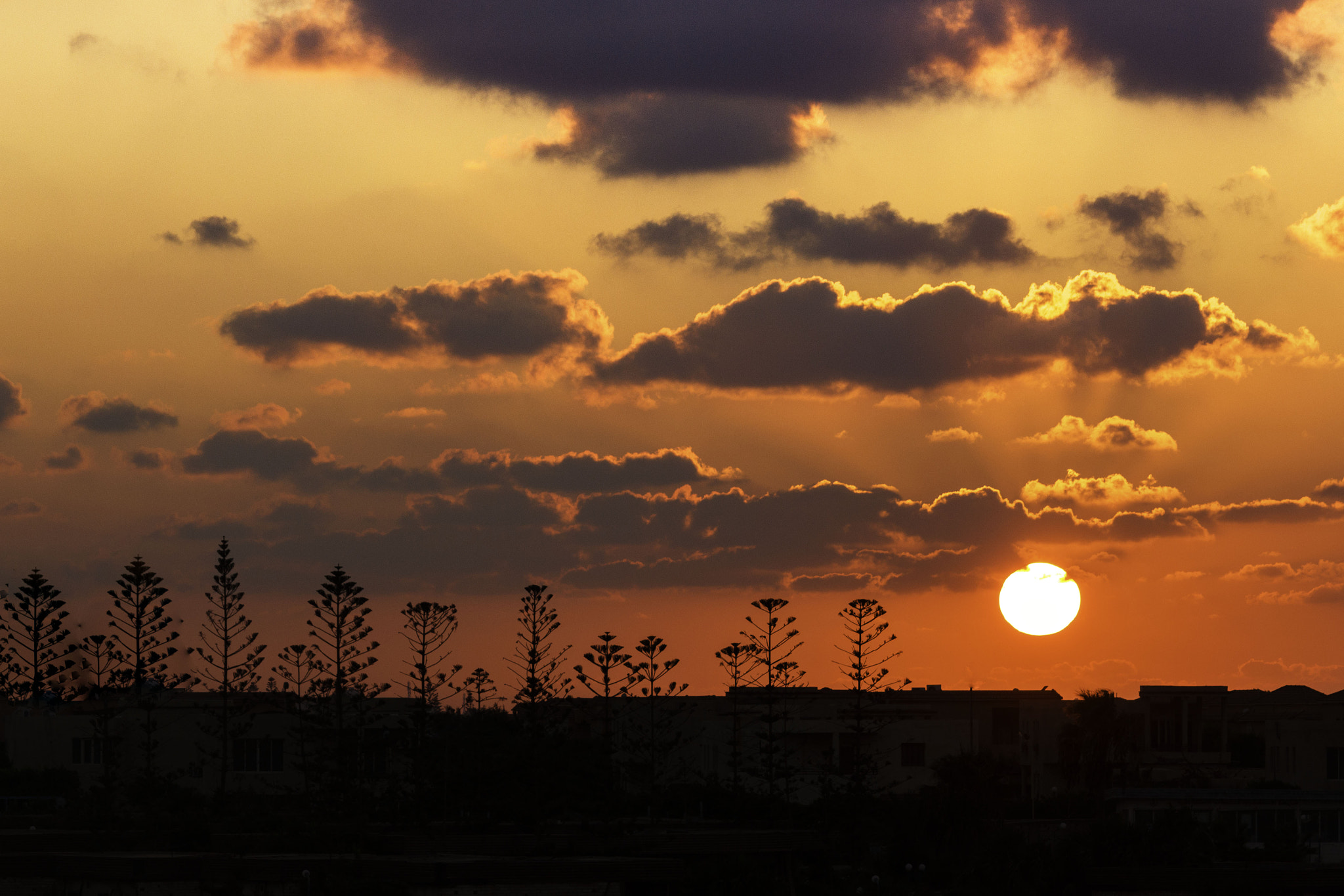 Canon EOS 650D (EOS Rebel T4i / EOS Kiss X6i) sample photo. September skies photography