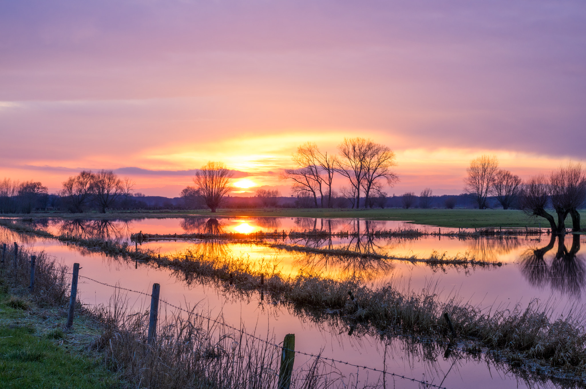 Pentax K-3 II sample photo. Floodplaines of the ijssel river photography