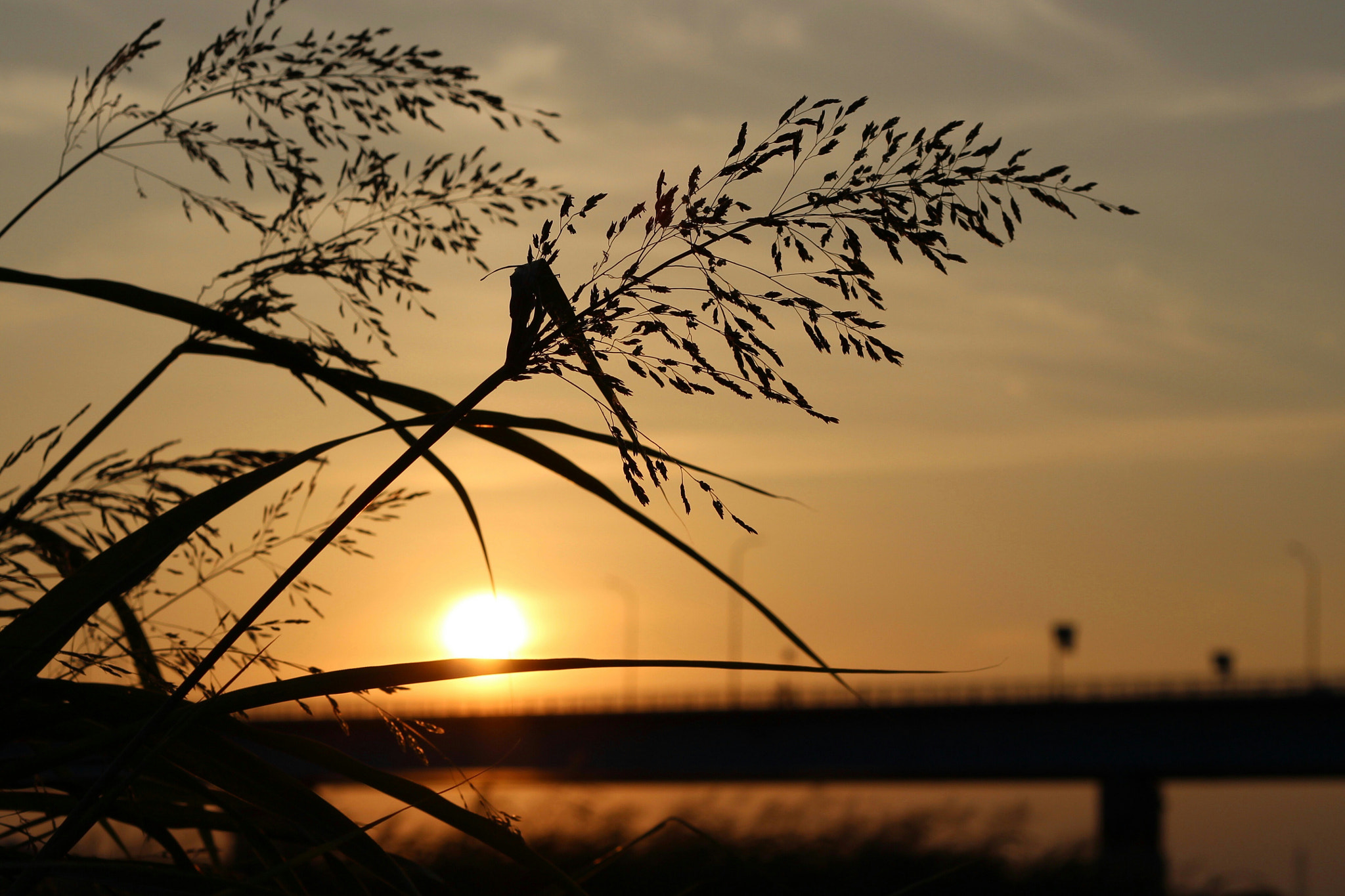 Canon EOS 600D (Rebel EOS T3i / EOS Kiss X5) sample photo. Sunset    photography