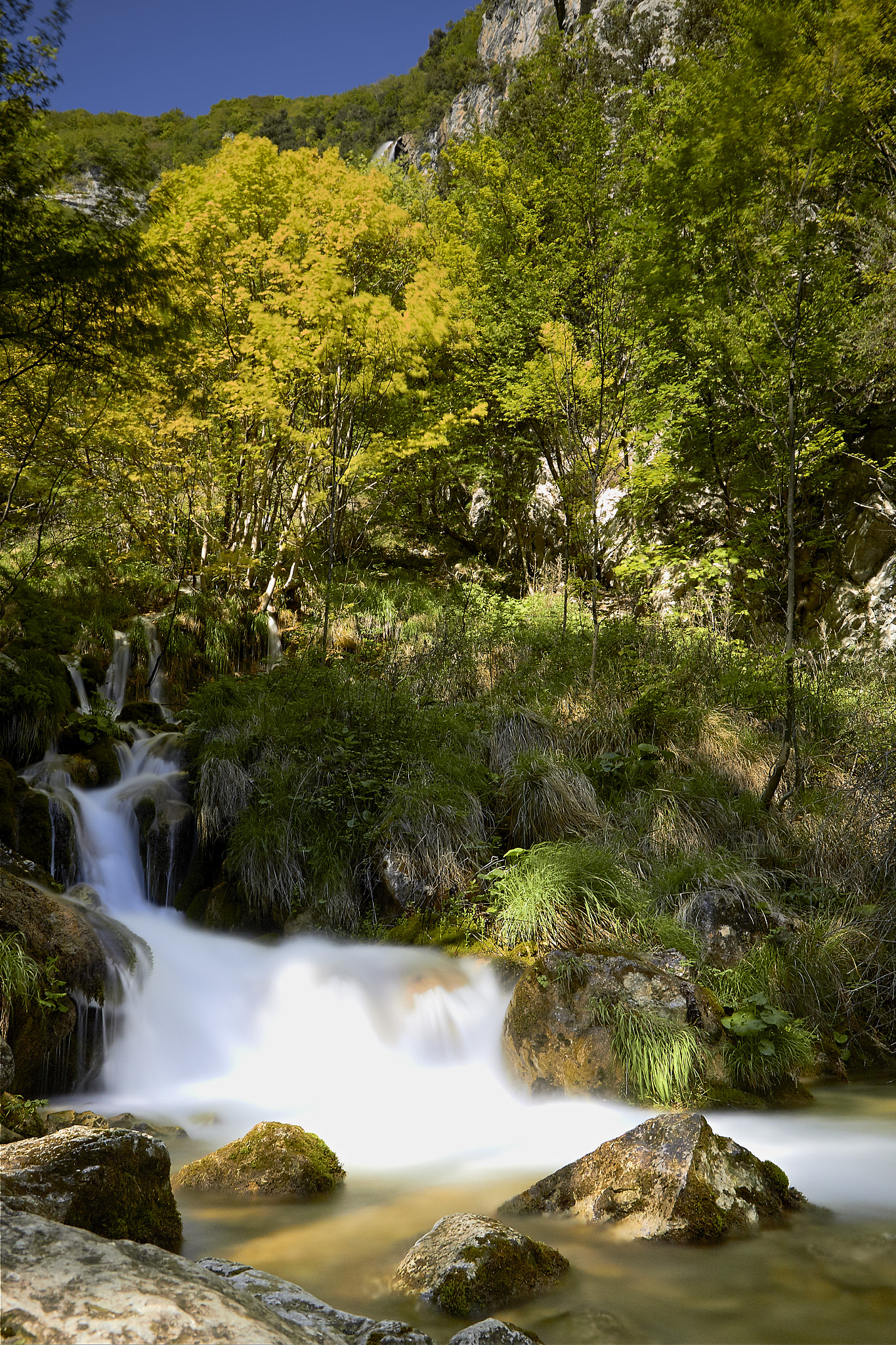 Canon EF-S 17-55mm F2.8 IS USM sample photo. Zompo lo schioppo photography