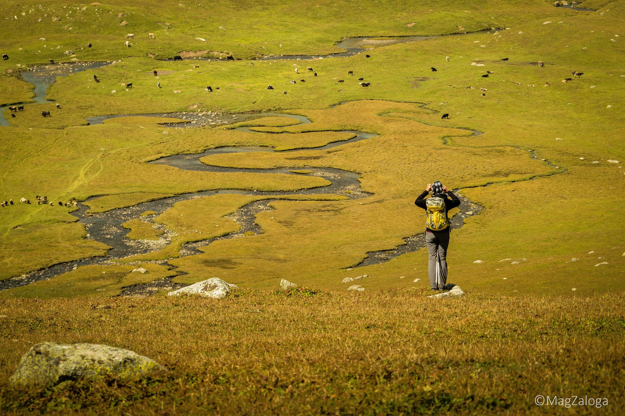 Olympus OM-D E-M5 II sample photo. Steppe in kyrgyzstan photography