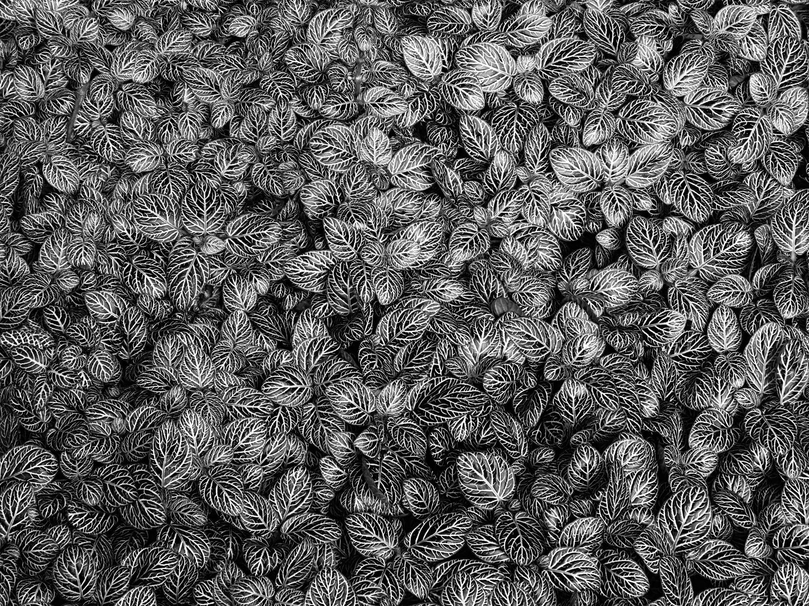 3.8 - 247.0 mm sample photo
